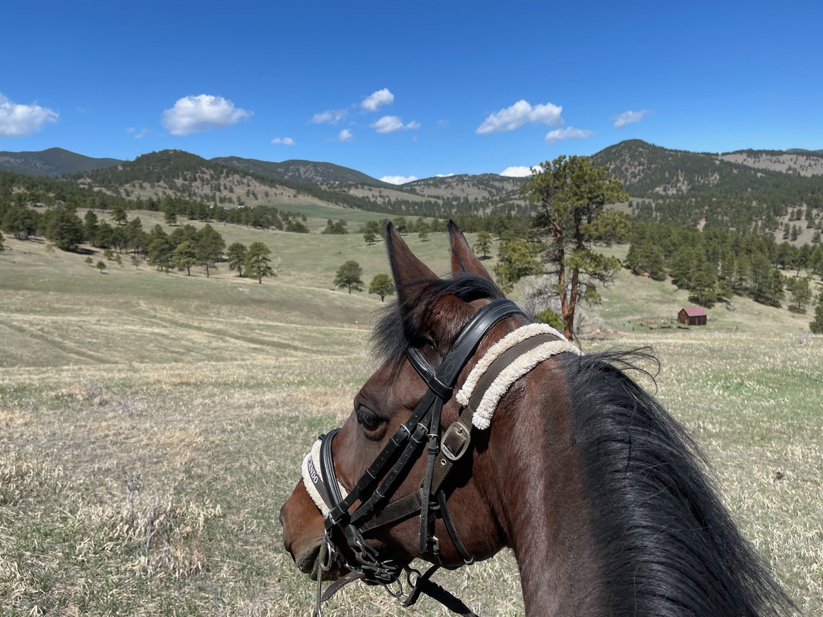 Lydia Matischek with Sophie at White Ranch