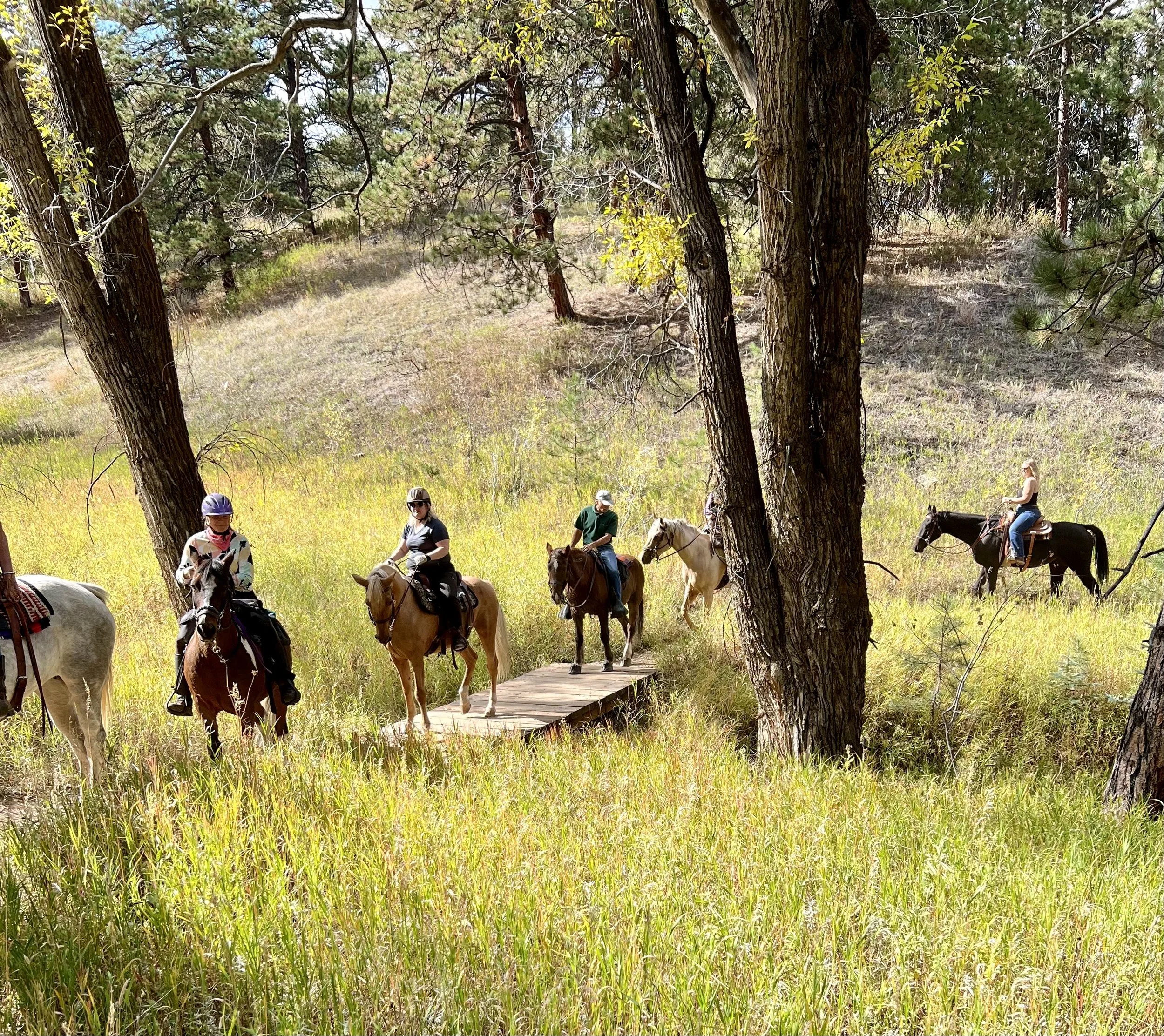 Riders at the Buffalo Bill Saddle Club Poker Ride Held at Staunton State Park - August, 2024