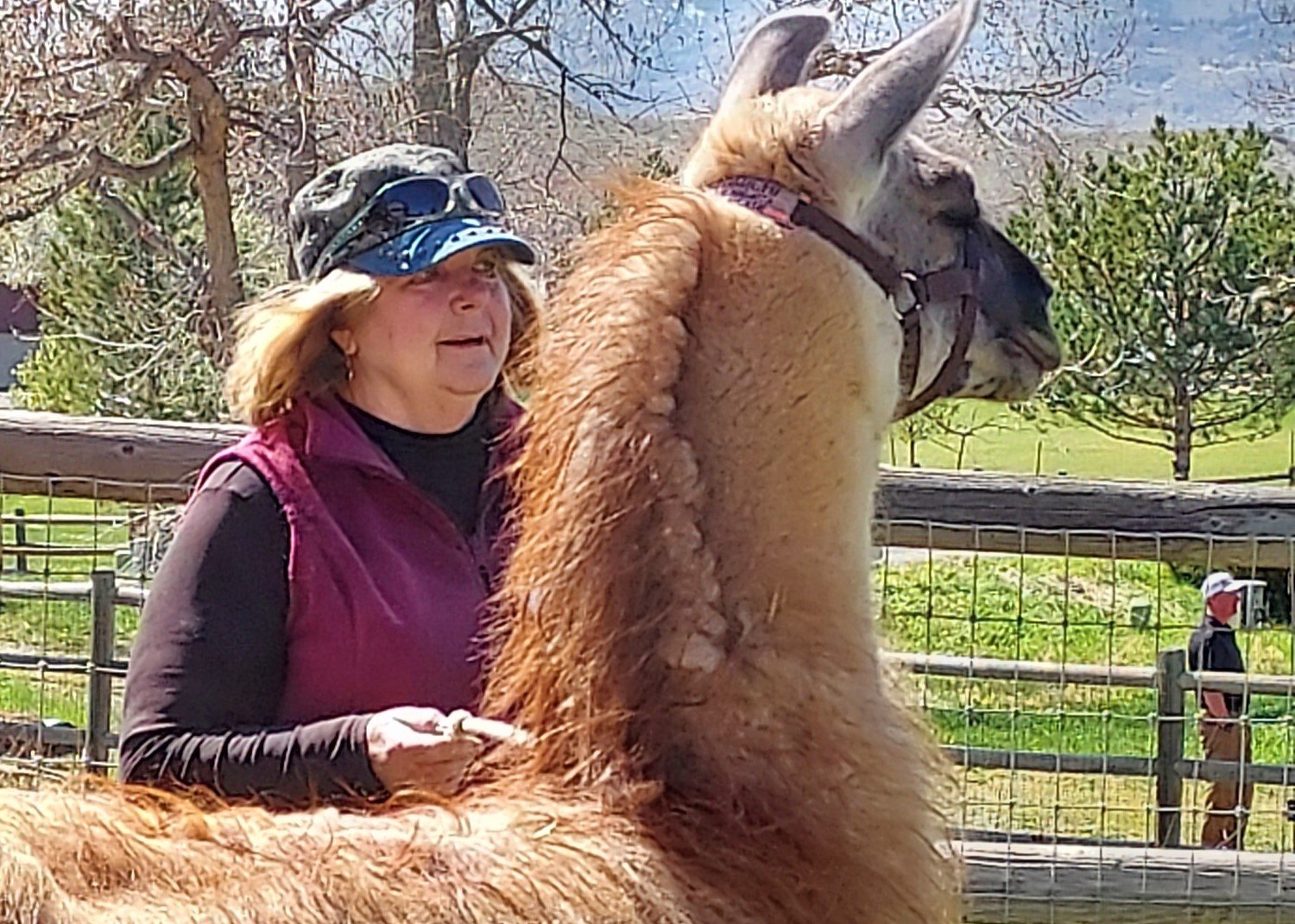 EET Llama handling training - April, 2024