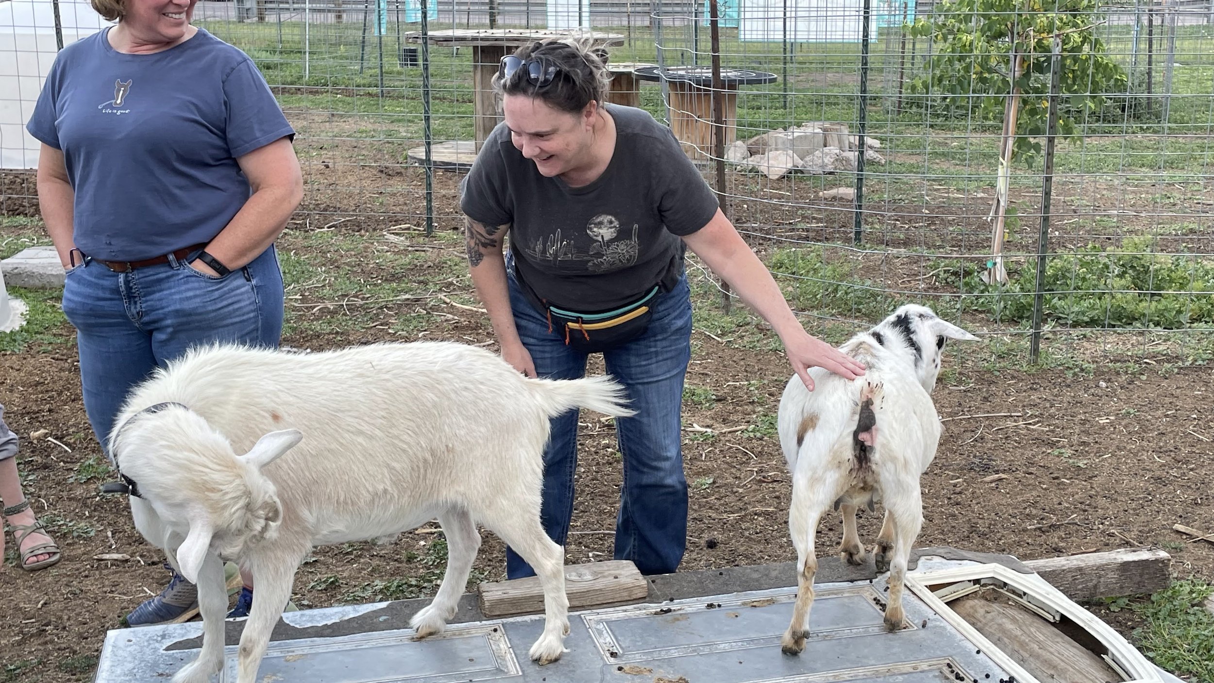 EET Goat Training - June, 2024