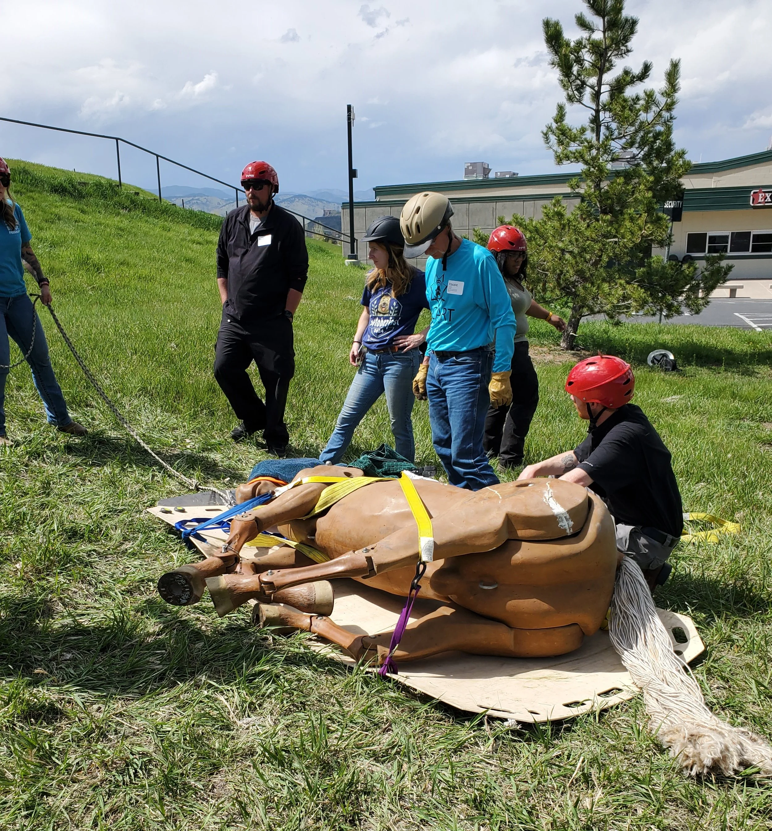 EET BULL Training with Code 3 Associates - May, 2025