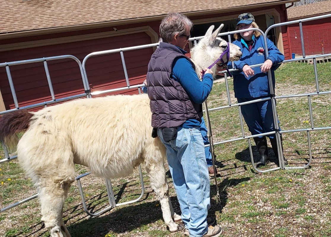 EET Llama handling training - April, 2024