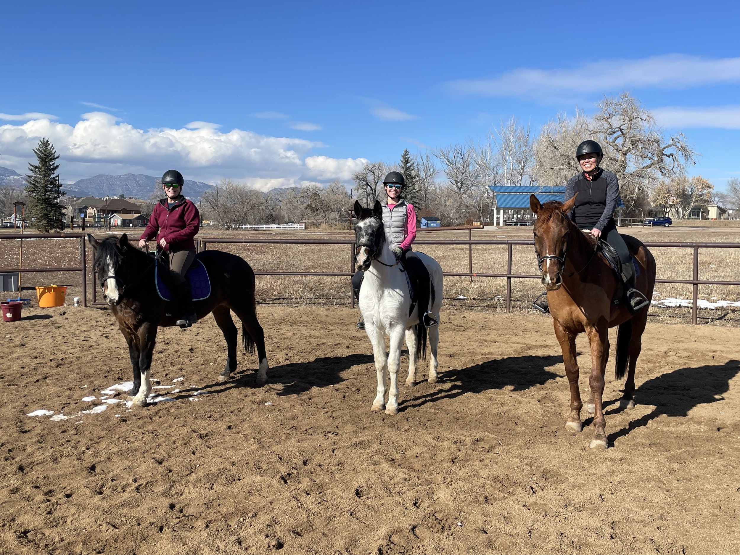 Molly Essmeier with Tony, Holly, and Bandit - Indiana Street Open Space, January 2024