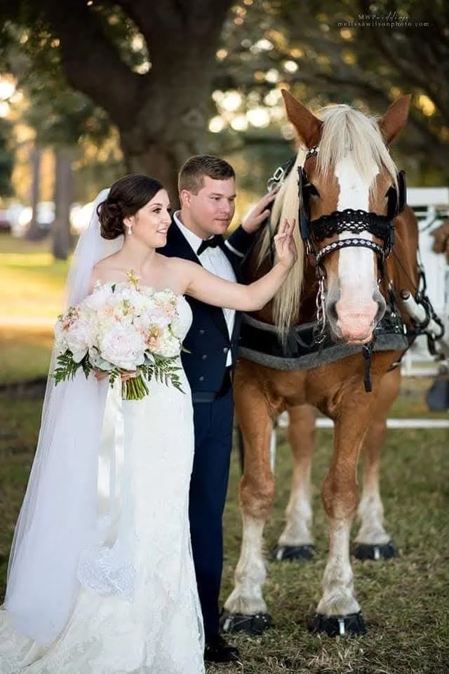 Bride and groom in wedding attire petting a large brown and white horse outdoors.