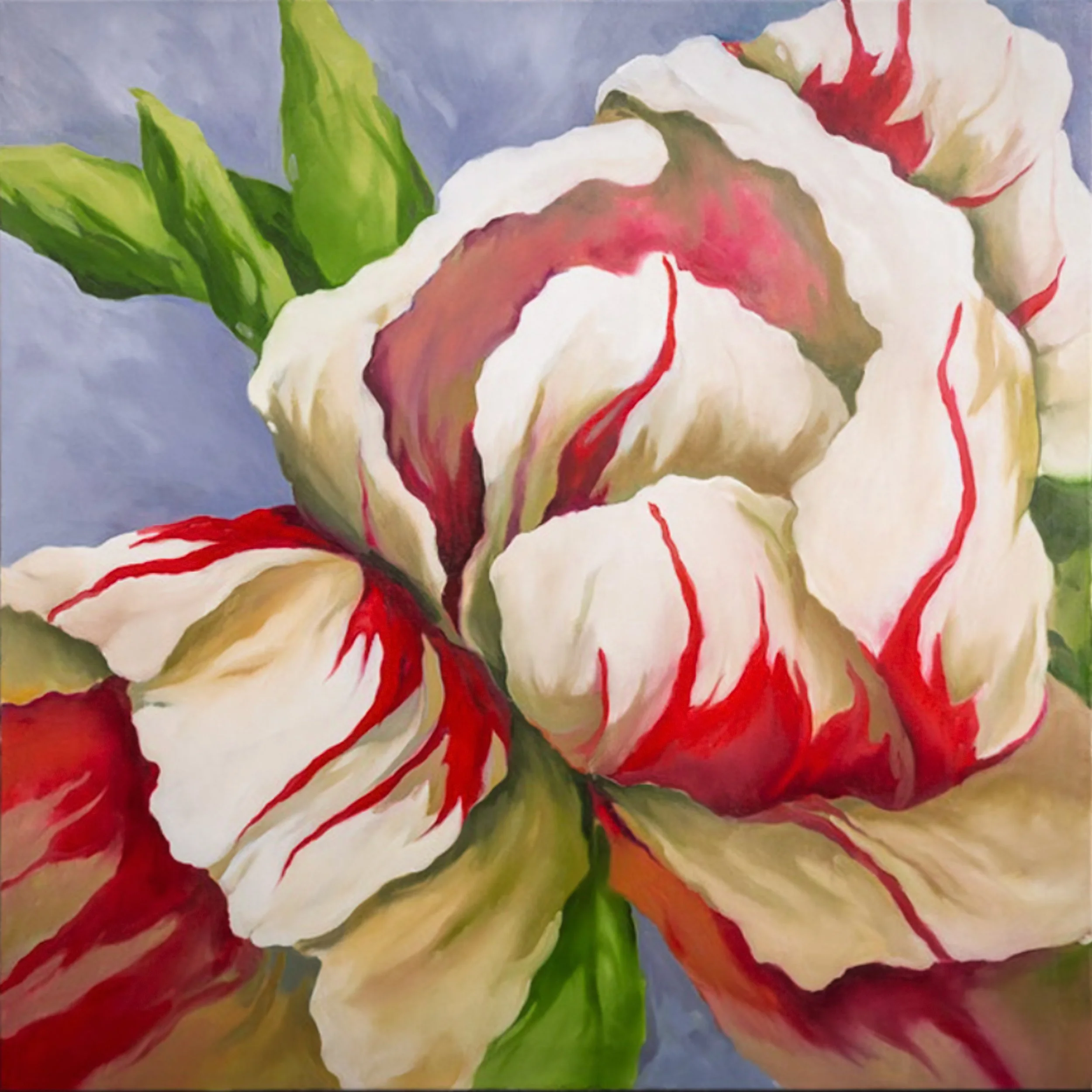 Red Striped Tulips by Martin Pryce — original latex-acrylic close-up of red-and-white striped tulips on a lavender-grey ground