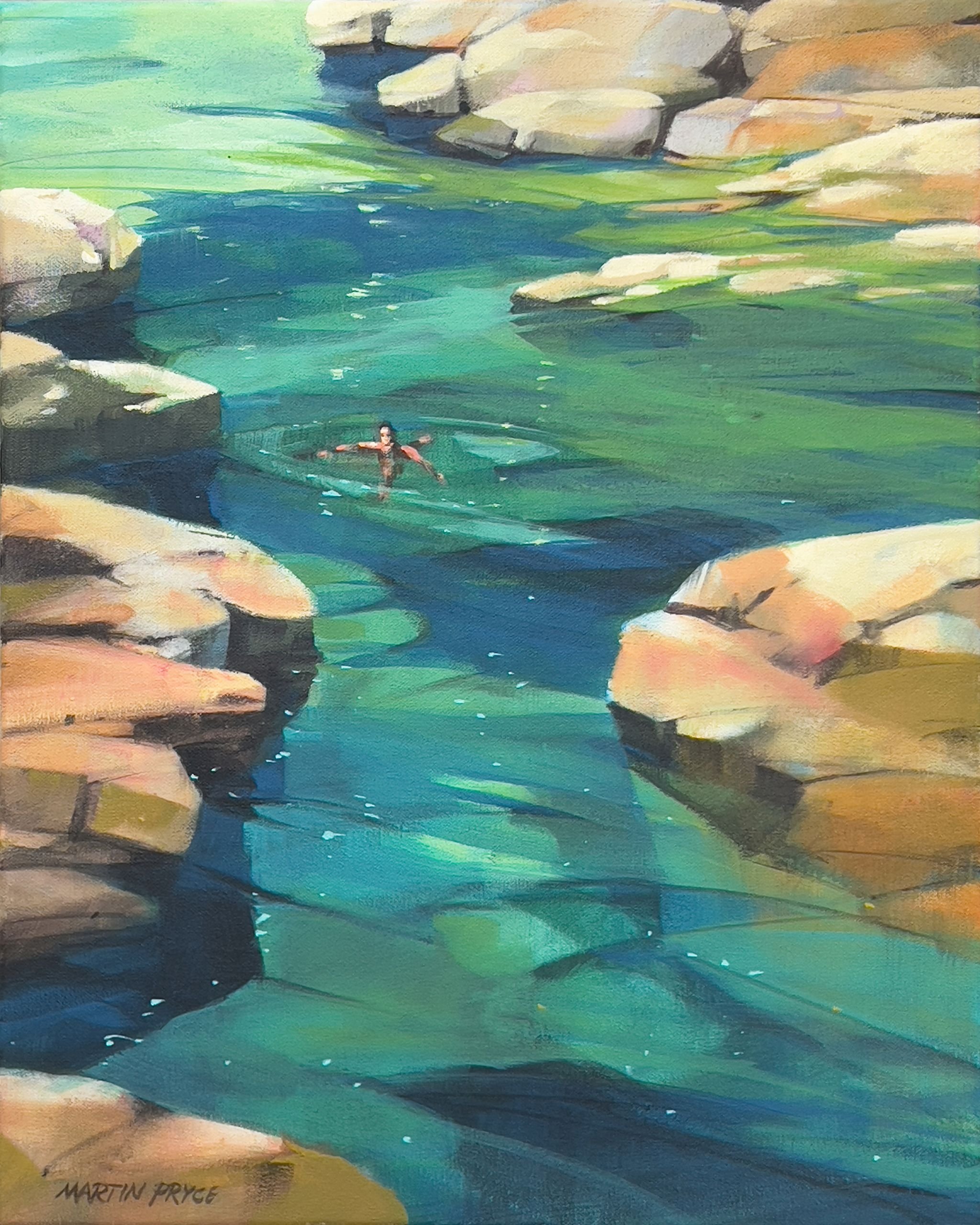 Vancouver Island Swim by Martin Pryce — original acrylic painting of Vancouver Island, British Columbia