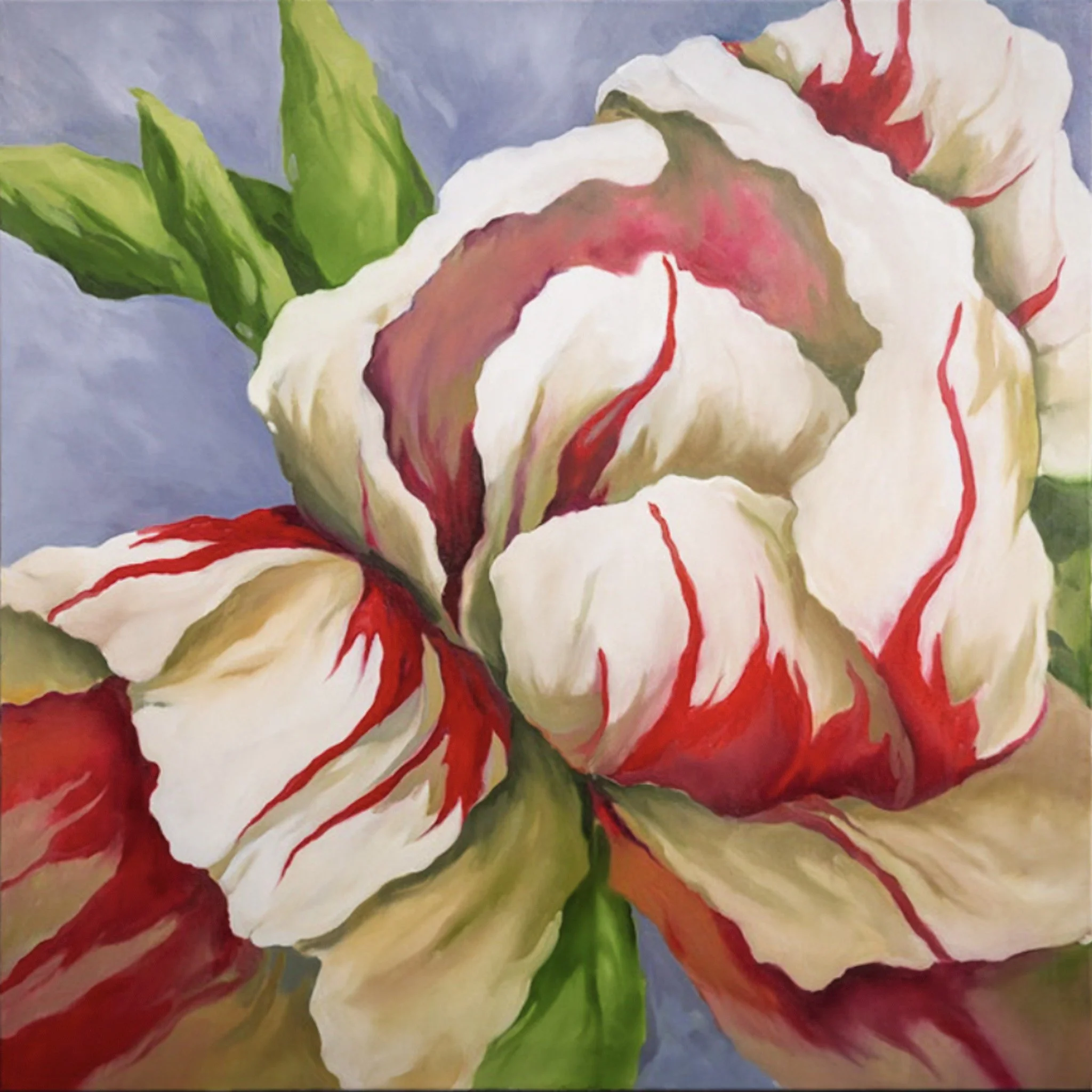 Red Striped Tulips