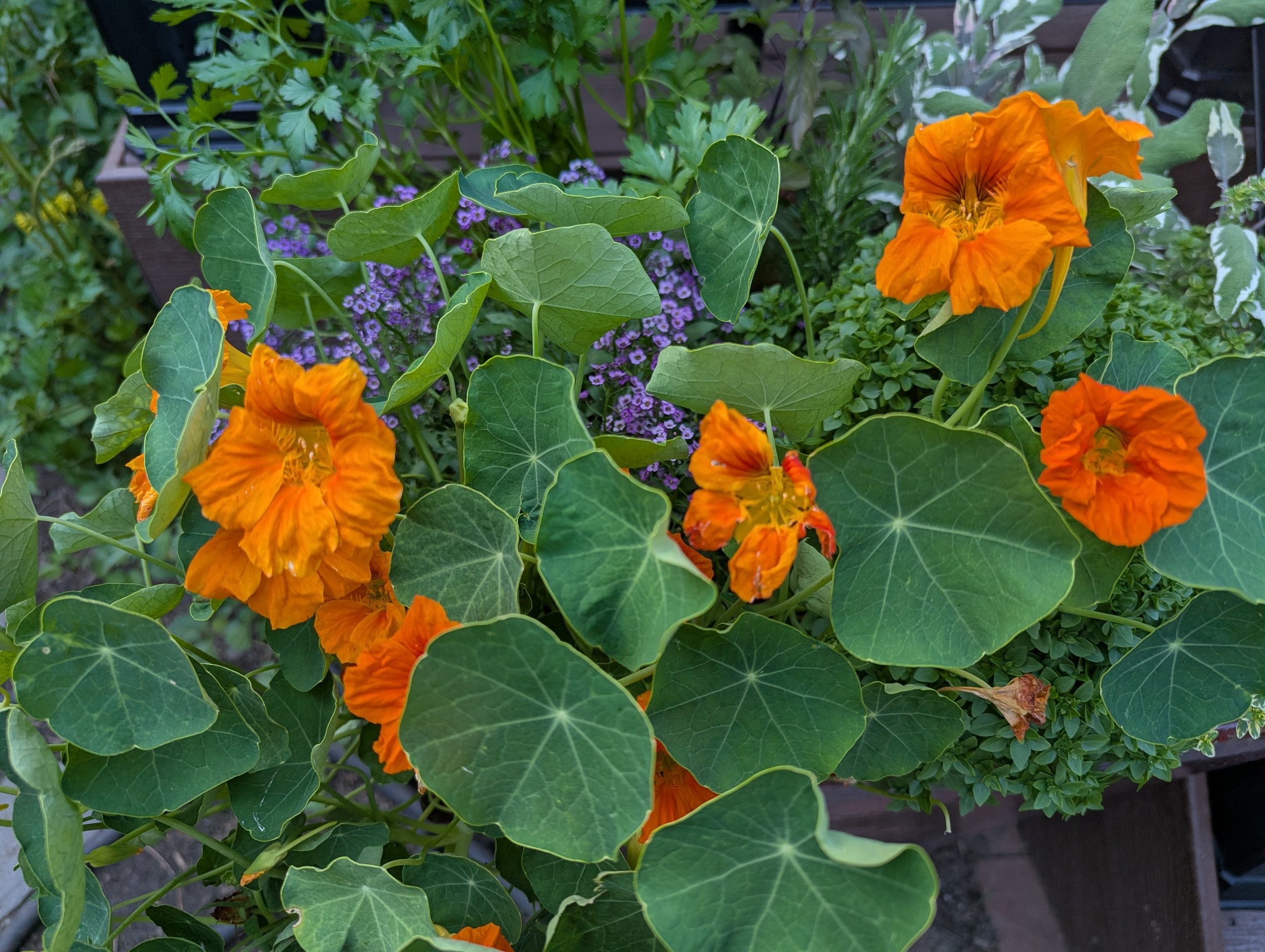 PXL_20260609_235136374.jpg