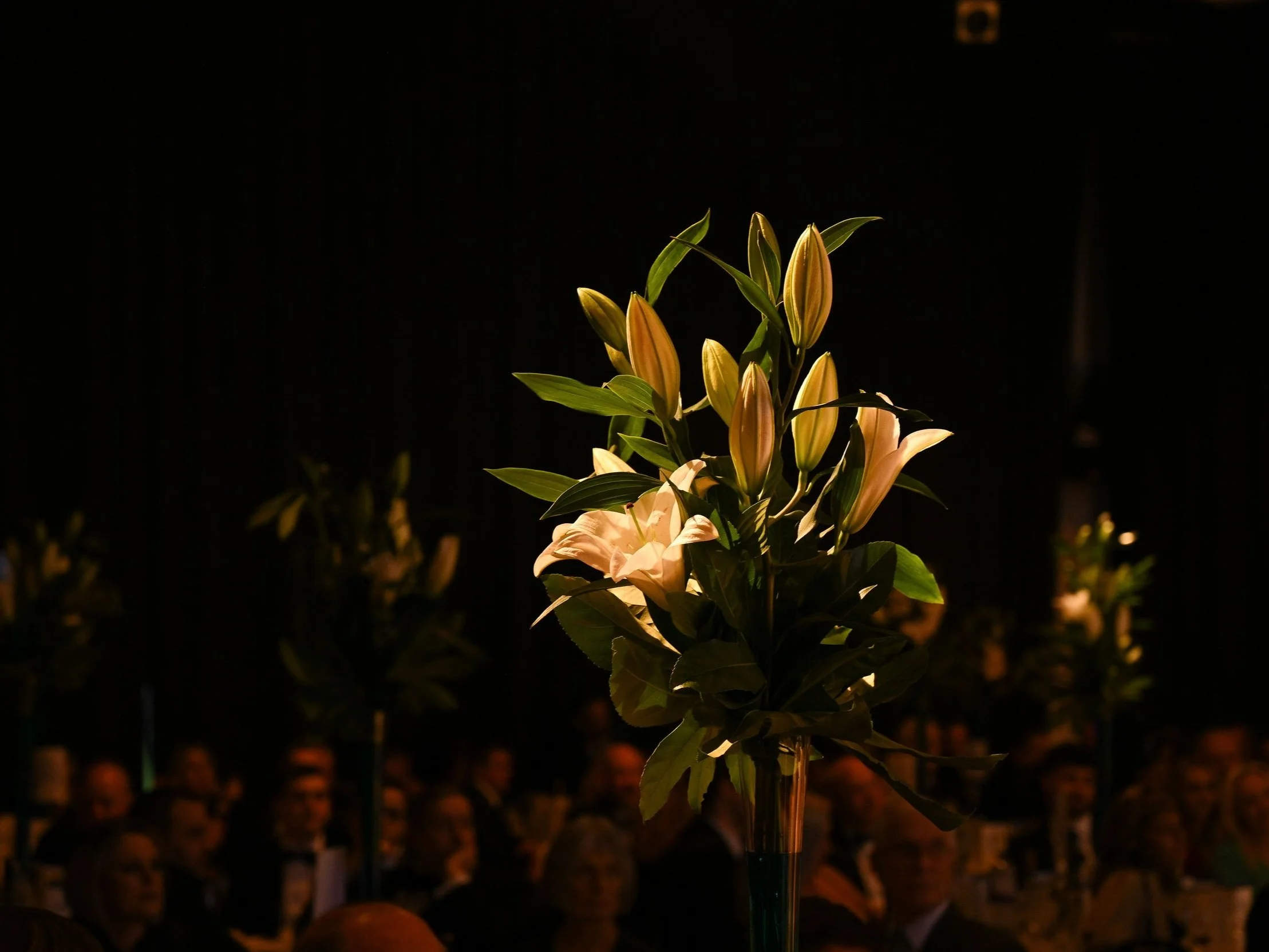 GHBA (152 of 124).jpg