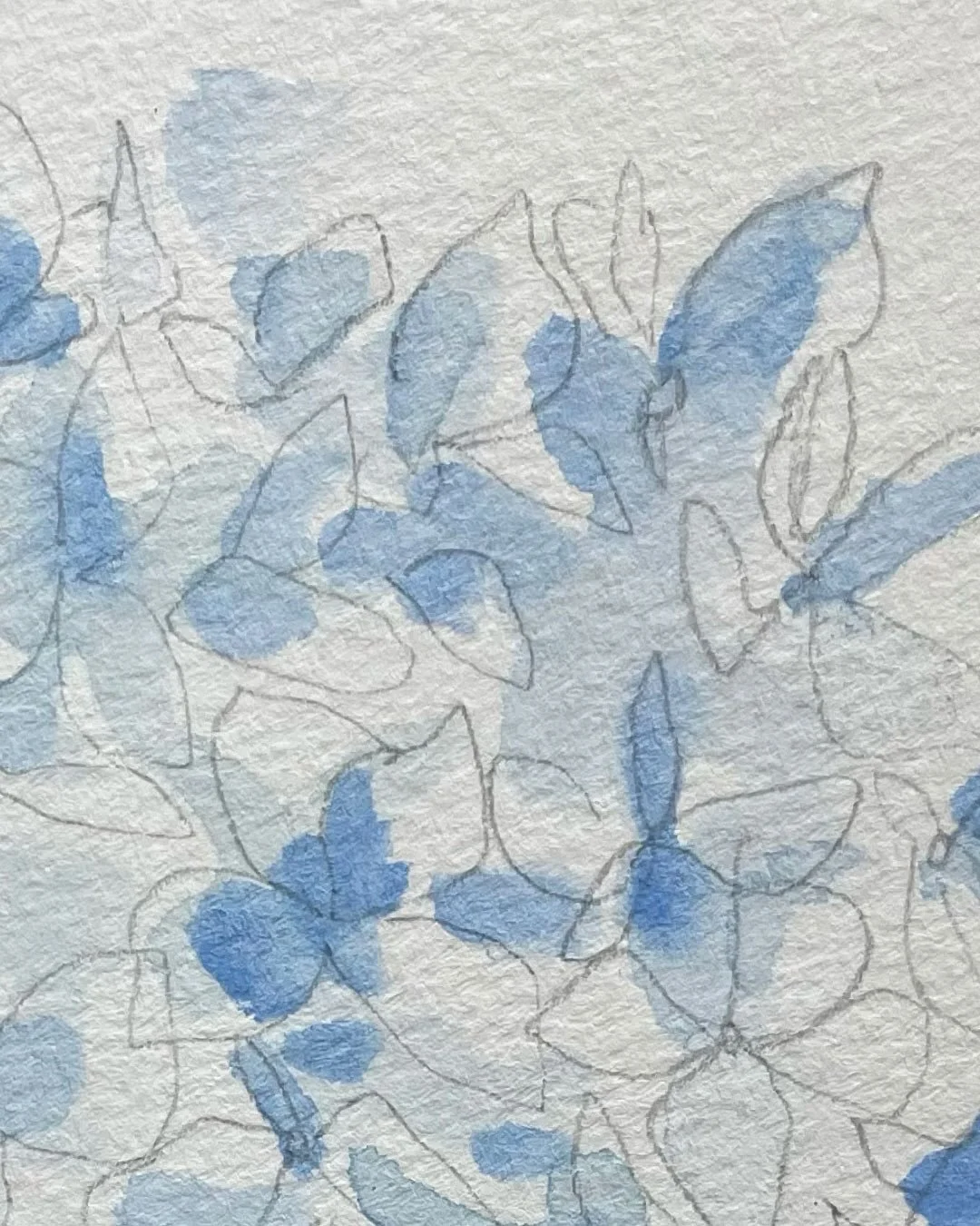 La vie r&eacute;cemment : Sc&egrave;nes d&rsquo;ao&ucirc;t baign&eacute;es de bleu 🖌️🏞️🦋

01 - Zoom sur les stars bretonnes de l&rsquo;&eacute;t&eacute; : les hortensias
02 - Pr&eacute;paration des vacances : rations
03 - Veille de d&eacute;part e