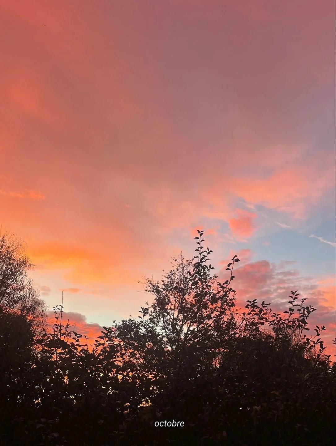 Octobre en la vie r&eacute;cemment en pointes de noir 📓✒️🐾 

Oui on est d&eacute;j&agrave; l&agrave; mi-novembre &agrave; l&rsquo;heure o&ugrave; je post, &ccedil;a r&eacute;sume bien ma vie en ce moment 🌪️ mais la vie est cool en ce moment malgr&