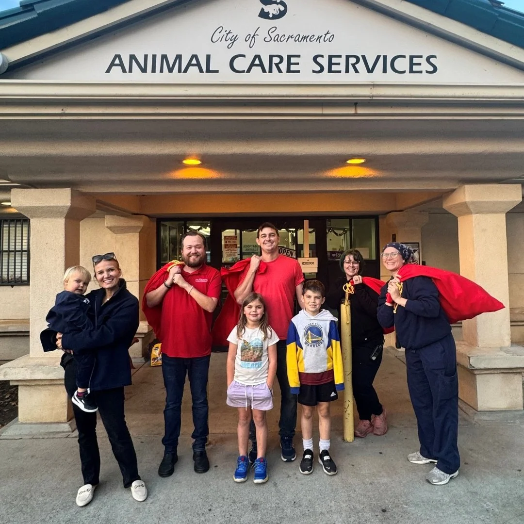 Front Street Animal Shelter in Sacramento received more than 200 toys and treats for their shelter dogs at Christmas 2025, thanks to our wonderful Santa Helpers, the Boden Family.
