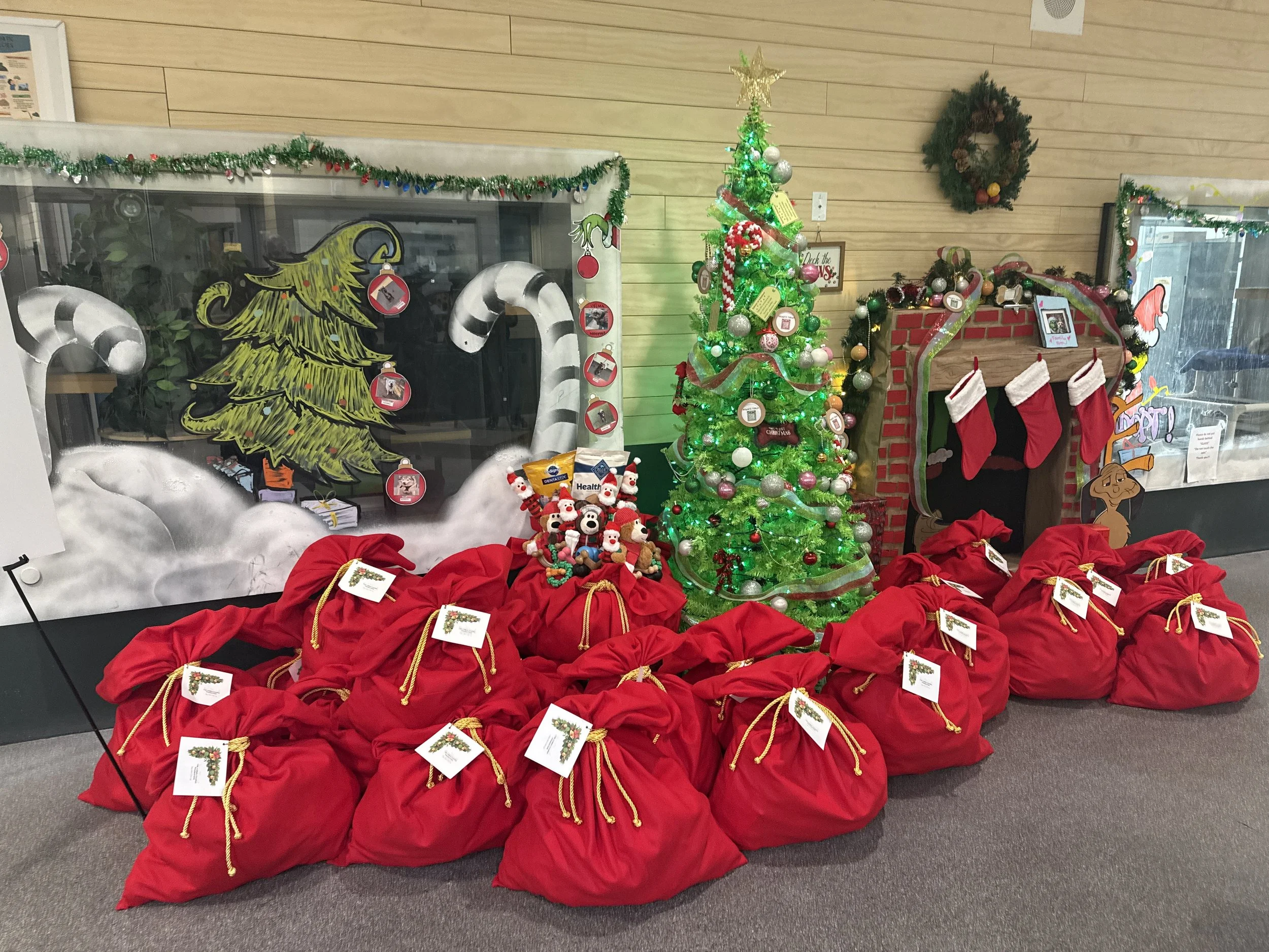 In December 2025, we were honored to bring Christmas cheer to all 1,100 shelter dogs across the Los Angeles City Shelter system. We were so excited to be able to gift every one of them.
