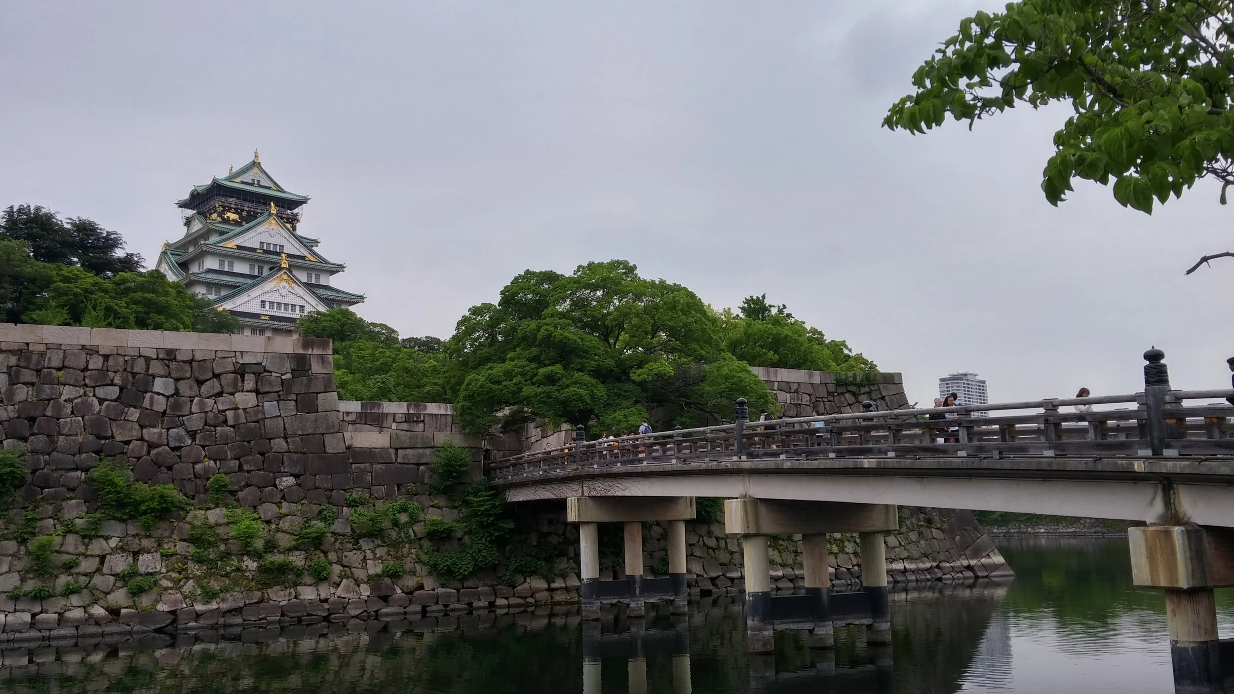 20170524_012407_HDR.jpg