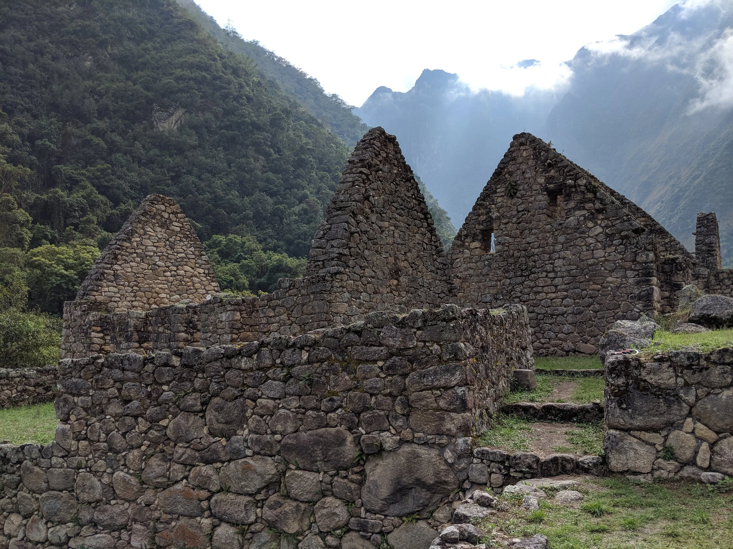 IMG_20190925_082922.jpg