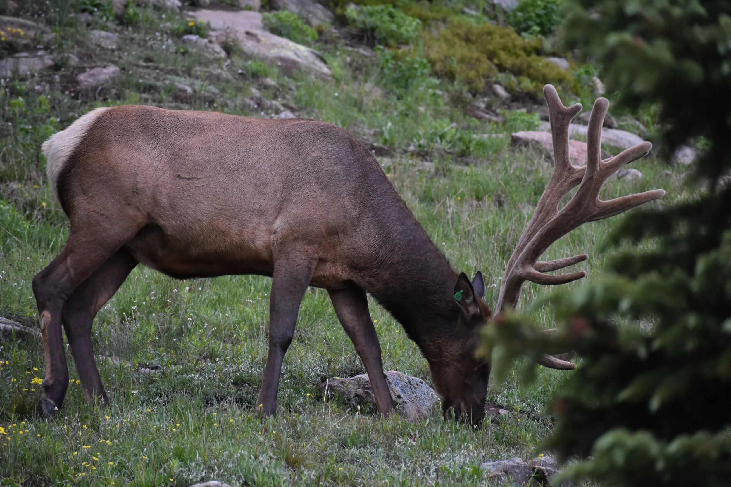 DSC_4708.JPG