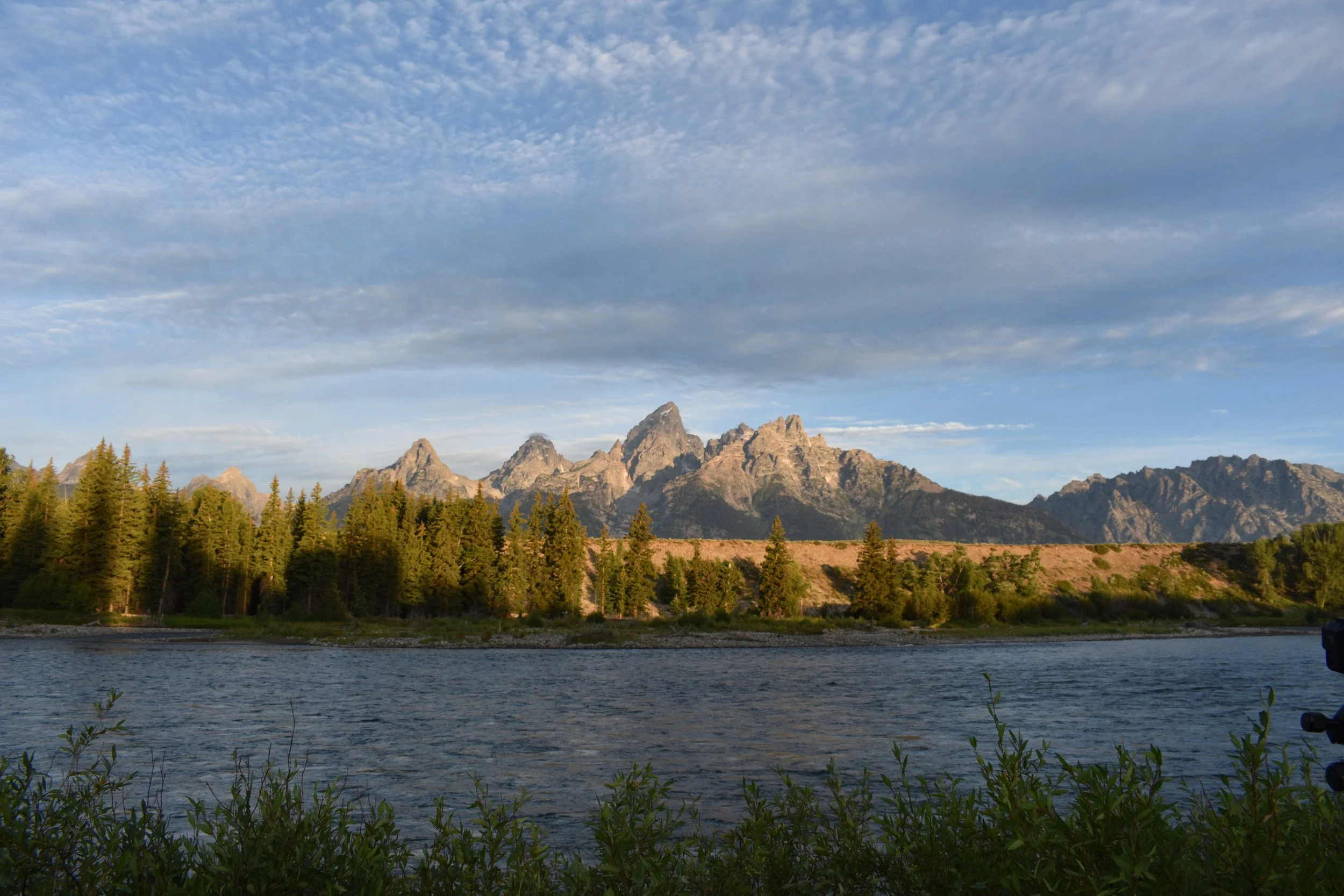DSC_9362.JPG