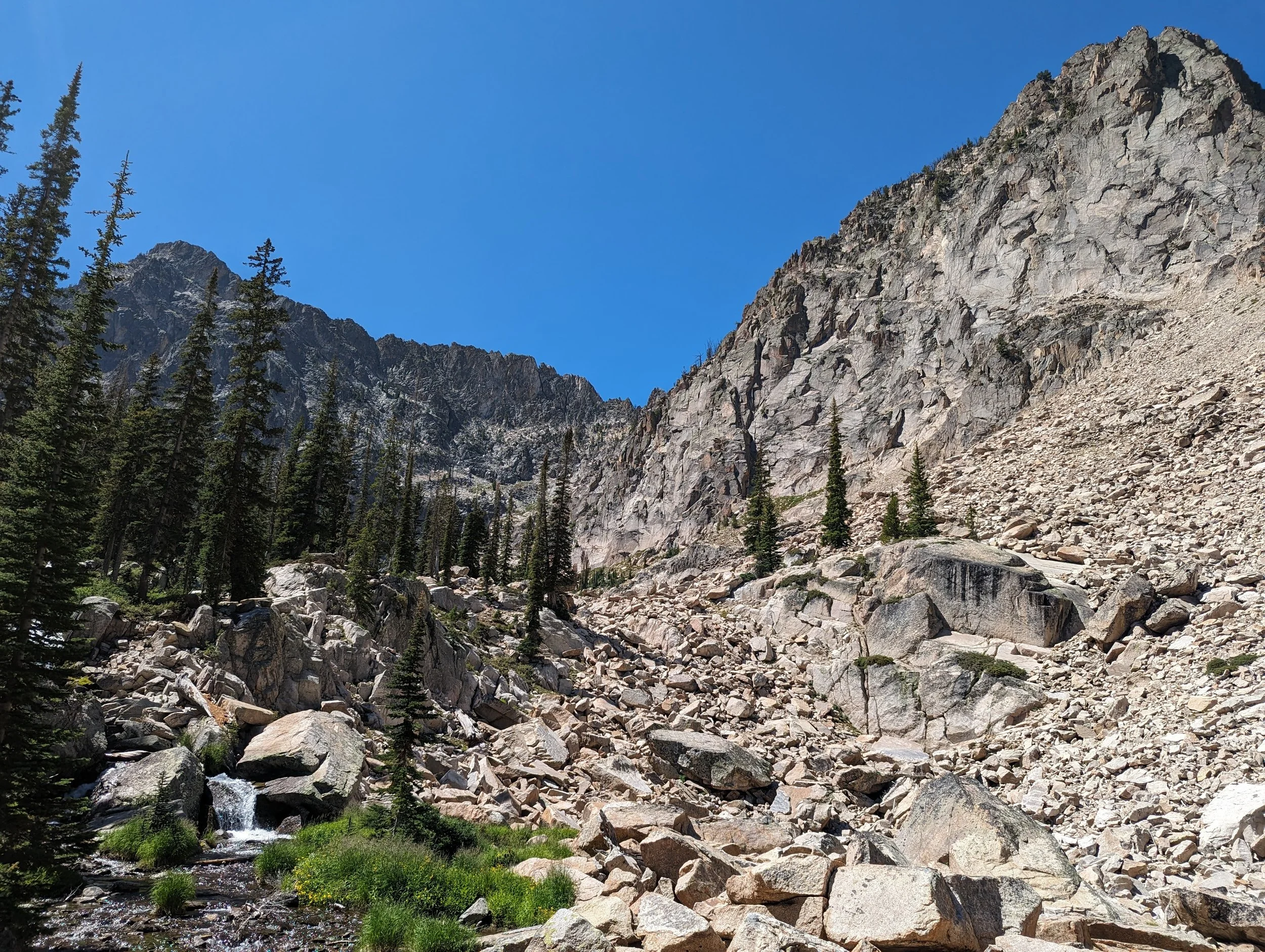 trail to goat 2.jpg