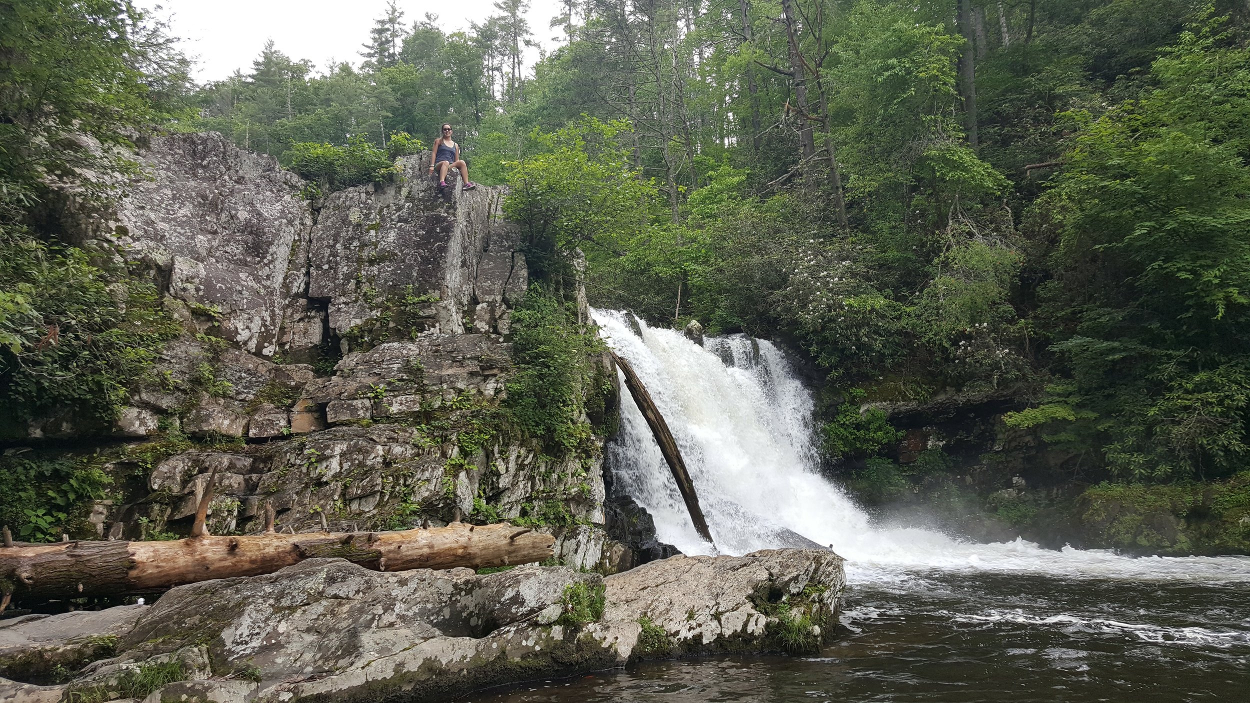20170606_182254.jpg
