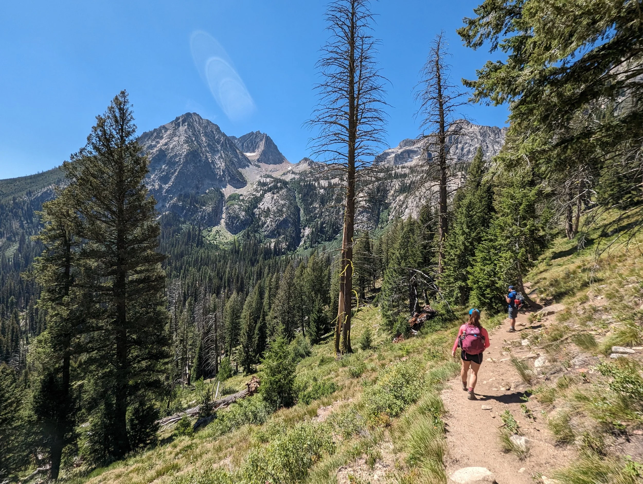 trail to goat 7.jpg