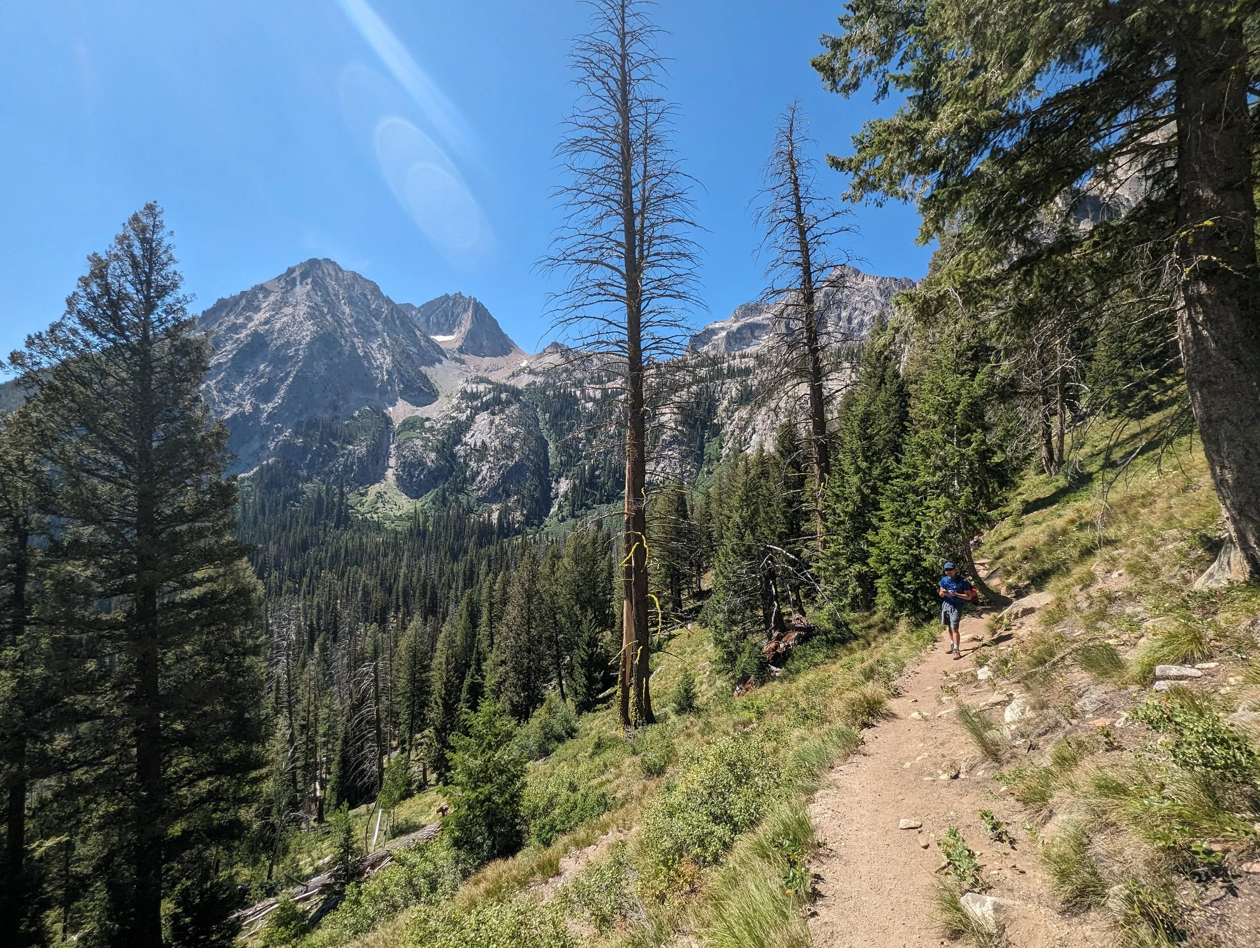 trail to goat 6.jpg