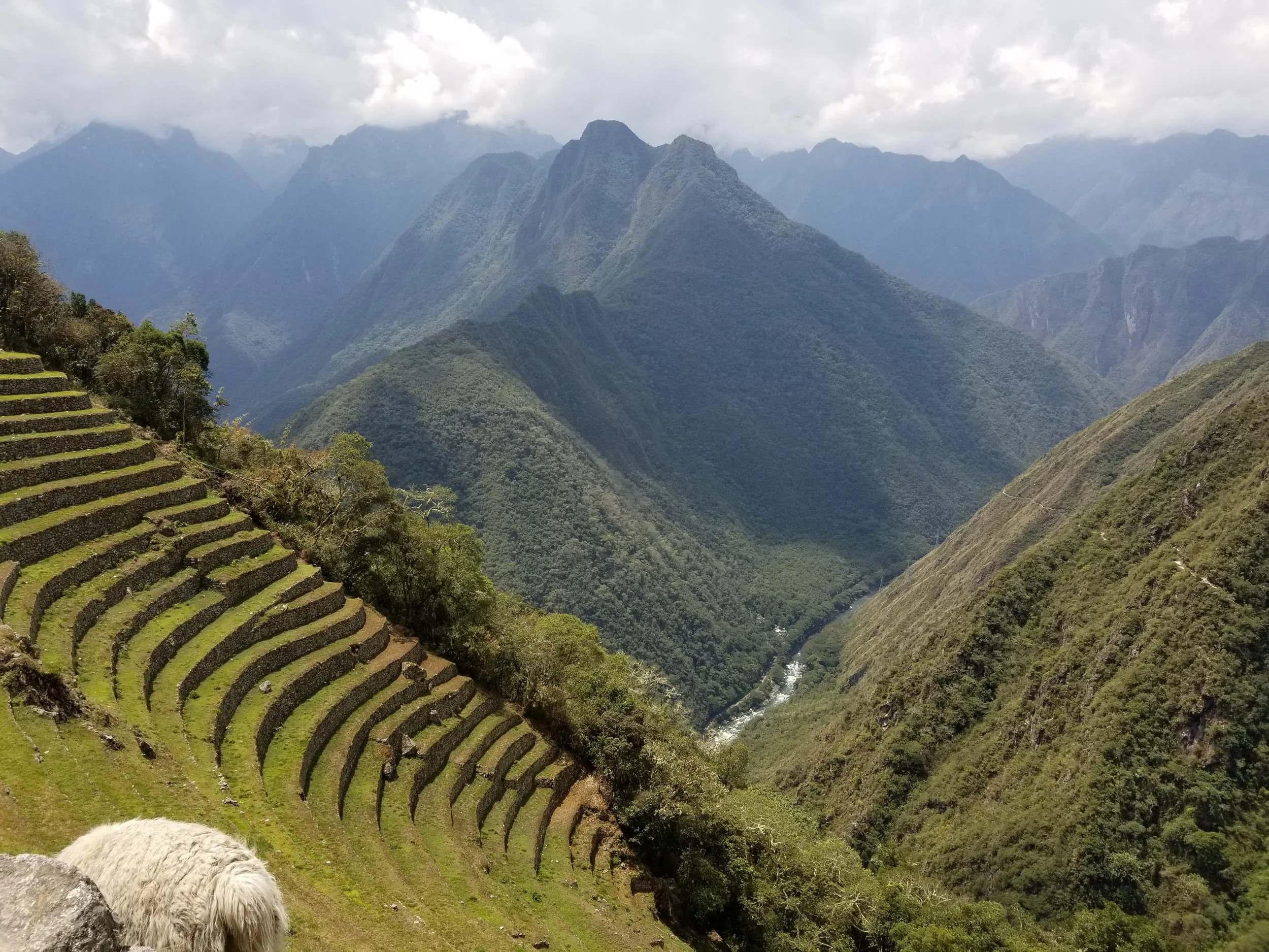 20190925_120843.jpg
