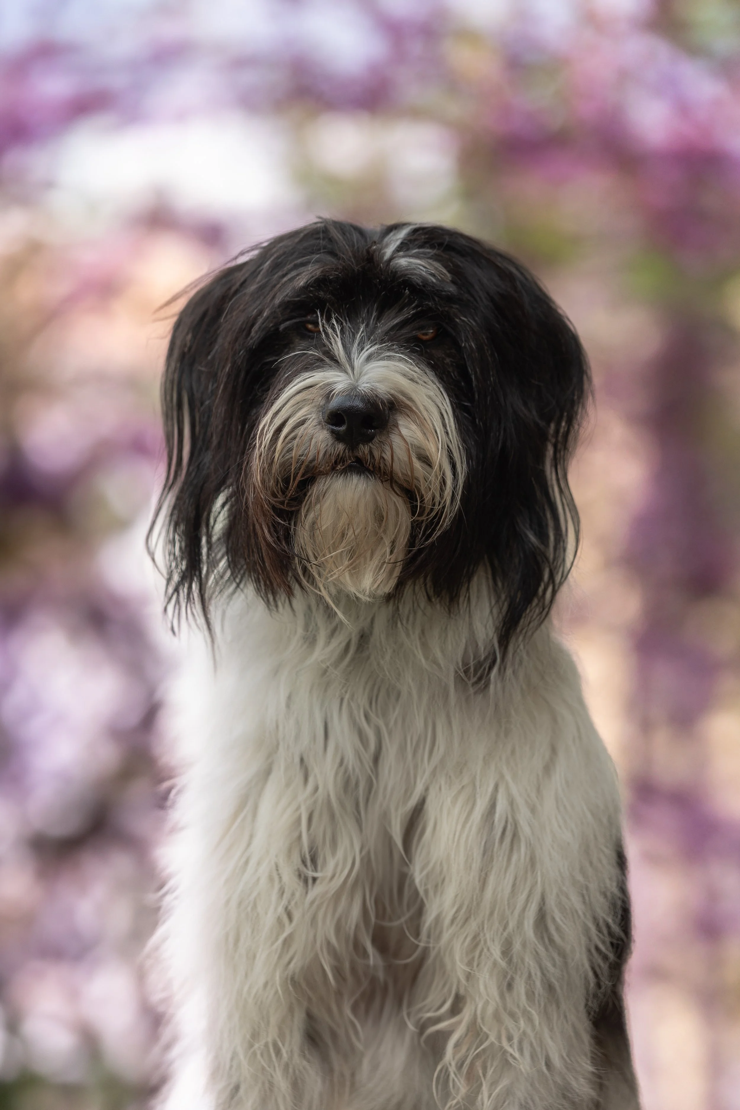 Rester authentique quand tout doit être “joli” : mon rapport aux réseaux et aux critiques