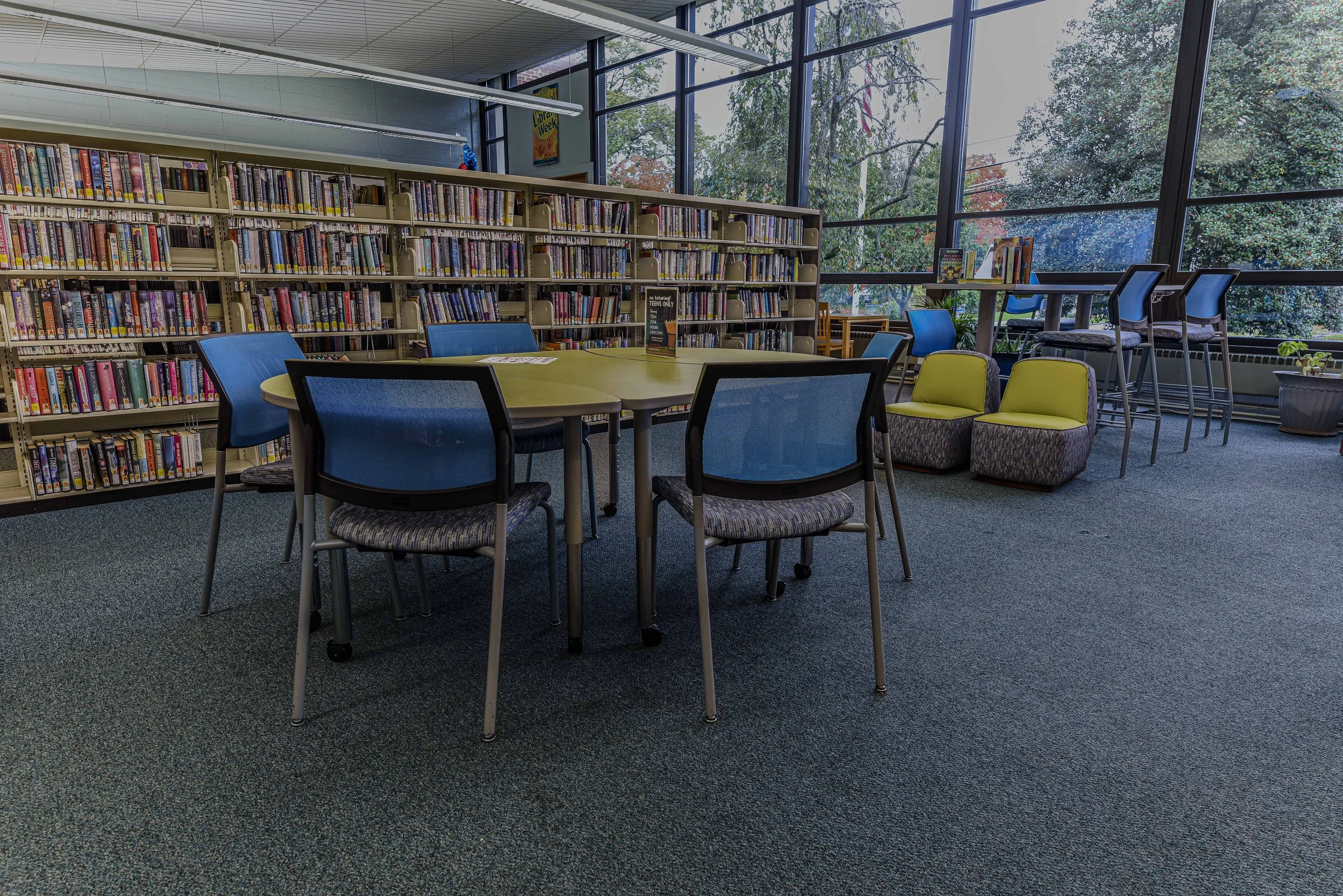 Teen Section at the Cranford Public Library — The Cranford Public Library