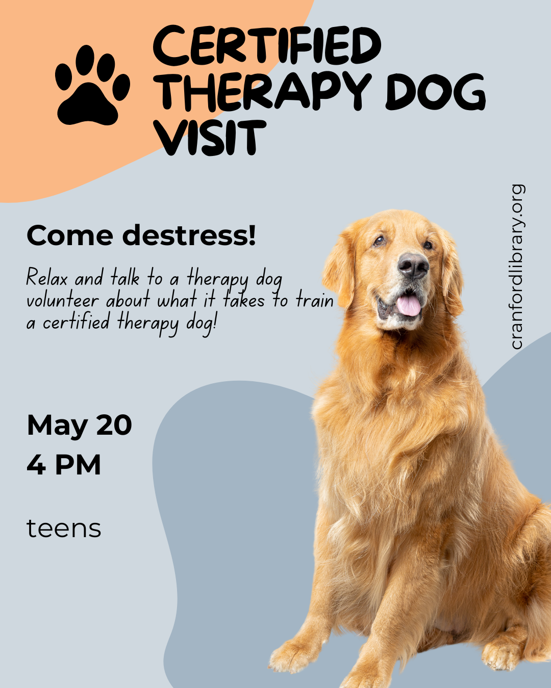 Therapy Dog Visit