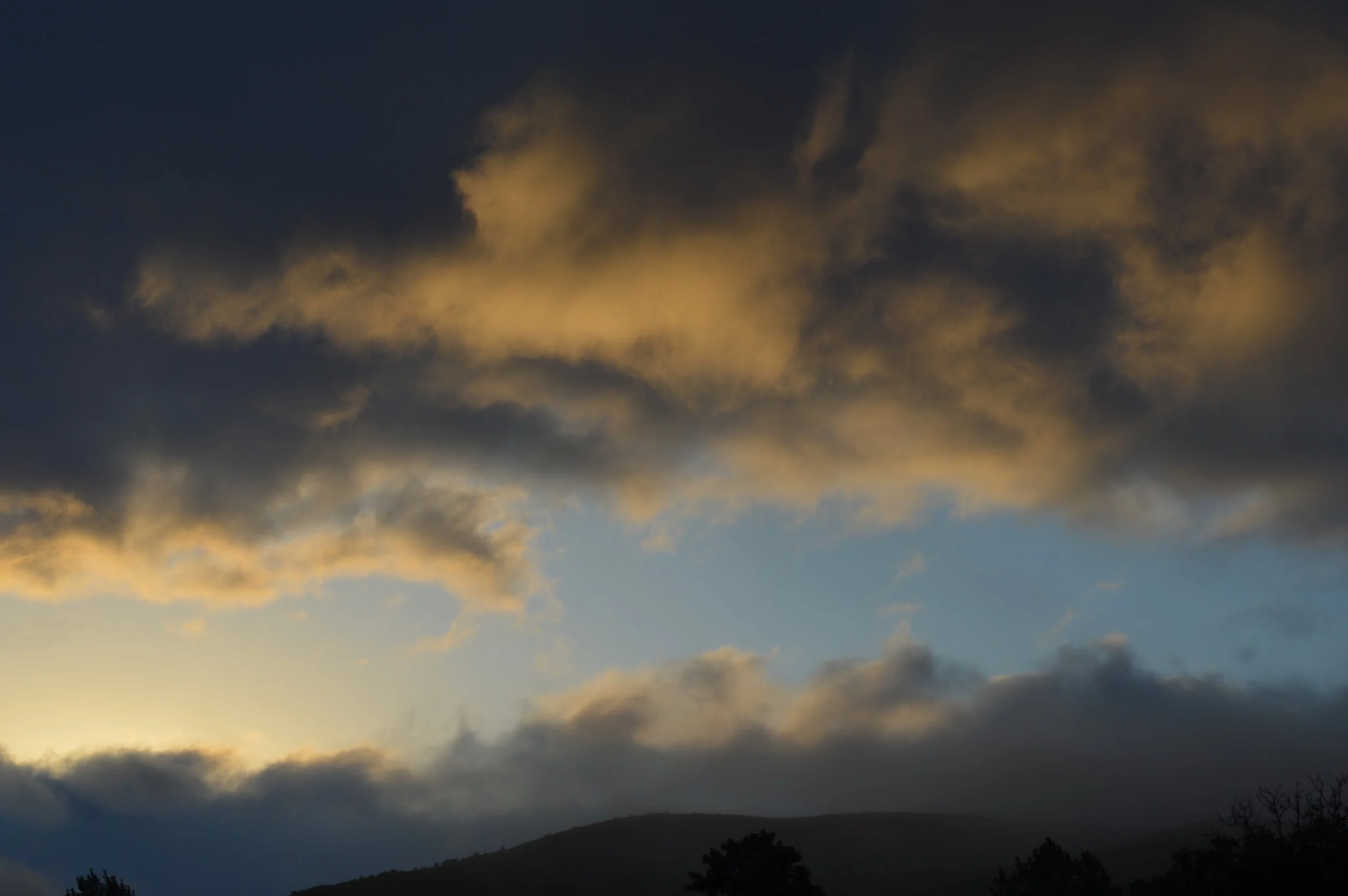 DSC_0318.JPG