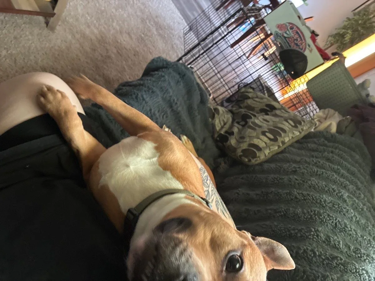 Morning visits 😍💕&hearts;️