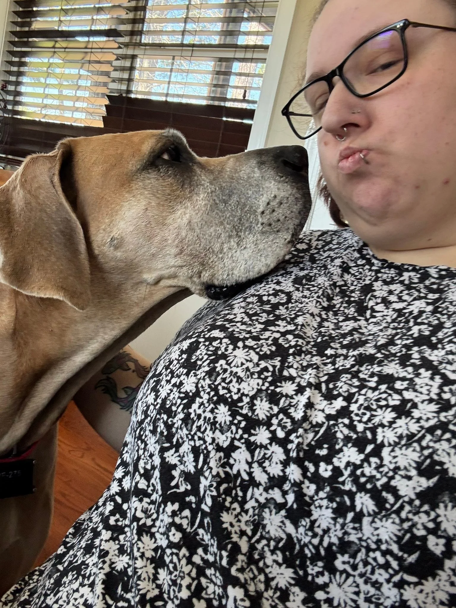 Another great overnight with Tailored Pet Services &hearts;️