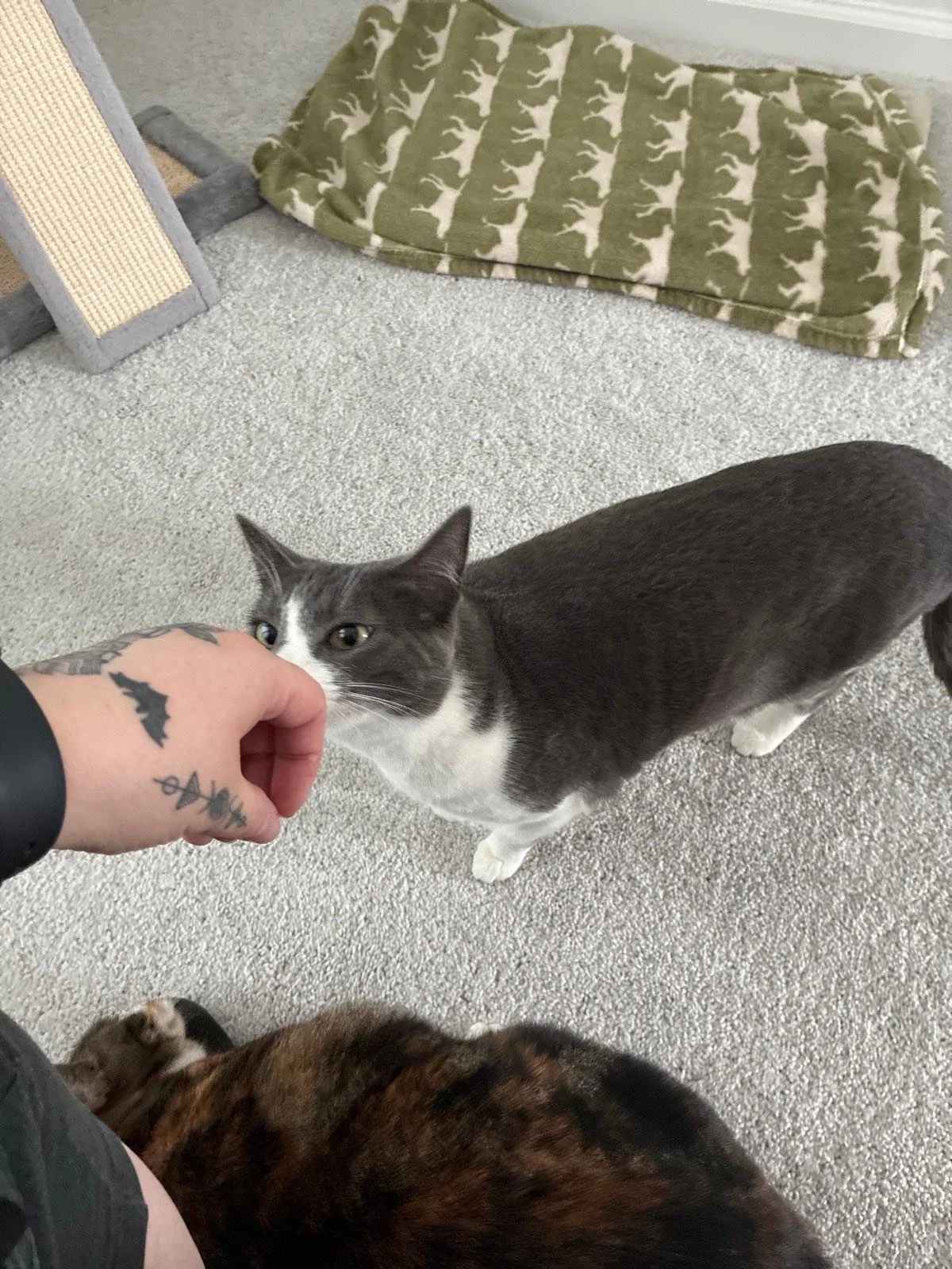 Some drop in visits this weekend