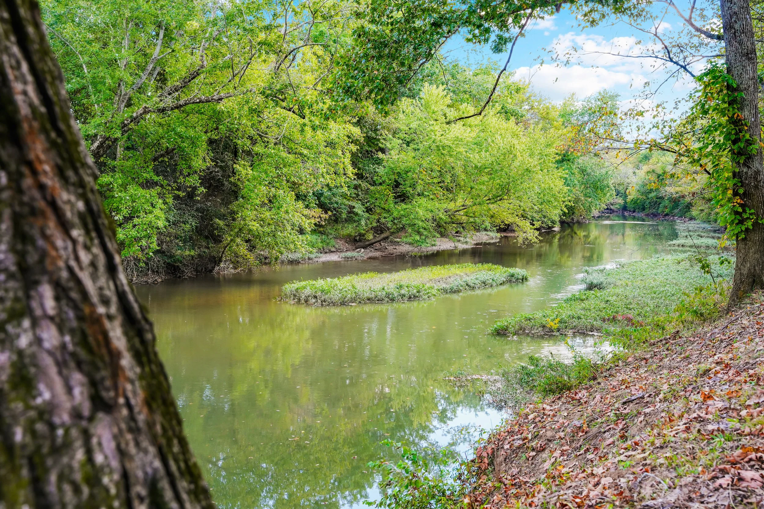 2536 Old Natchez Trace Day 2 Photos13-2 (1).jpg