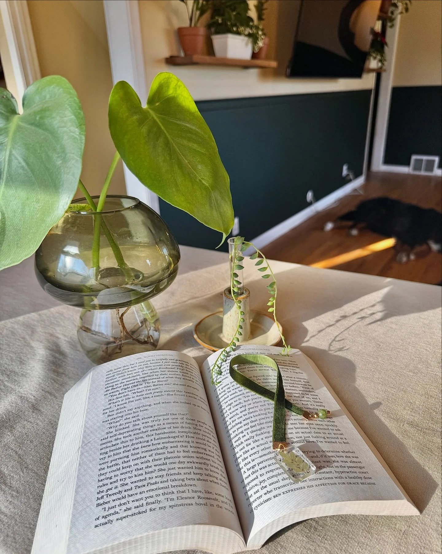 The house is spotless, cinnamon rolls are warming in the oven, the heated blanket is ready, and soft jazz floats through the room. You&rsquo;re curled up in a sunbeam with a book and your favorite plant-lover bookmark. 📖🌿

#books #reading #bookmark