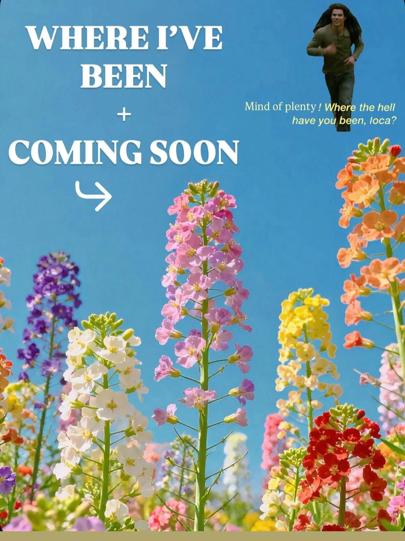 Shop update TLDR: new products, new shoots, new stores, new events 🤍