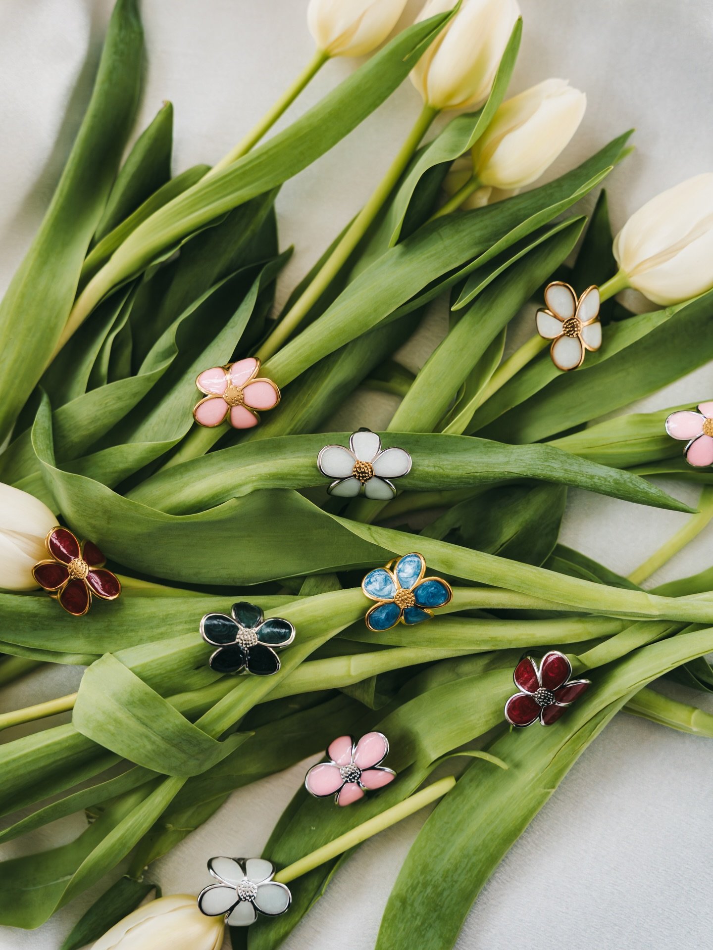 April showers bring May flowers 🌸🌼
-
I absolutely love thunderstorms. This morning is being spent with all the windows opened, bon iver playing in the background, and flowers are being pressed &amp; preserved. I couldn&rsquo;t ask for a better star