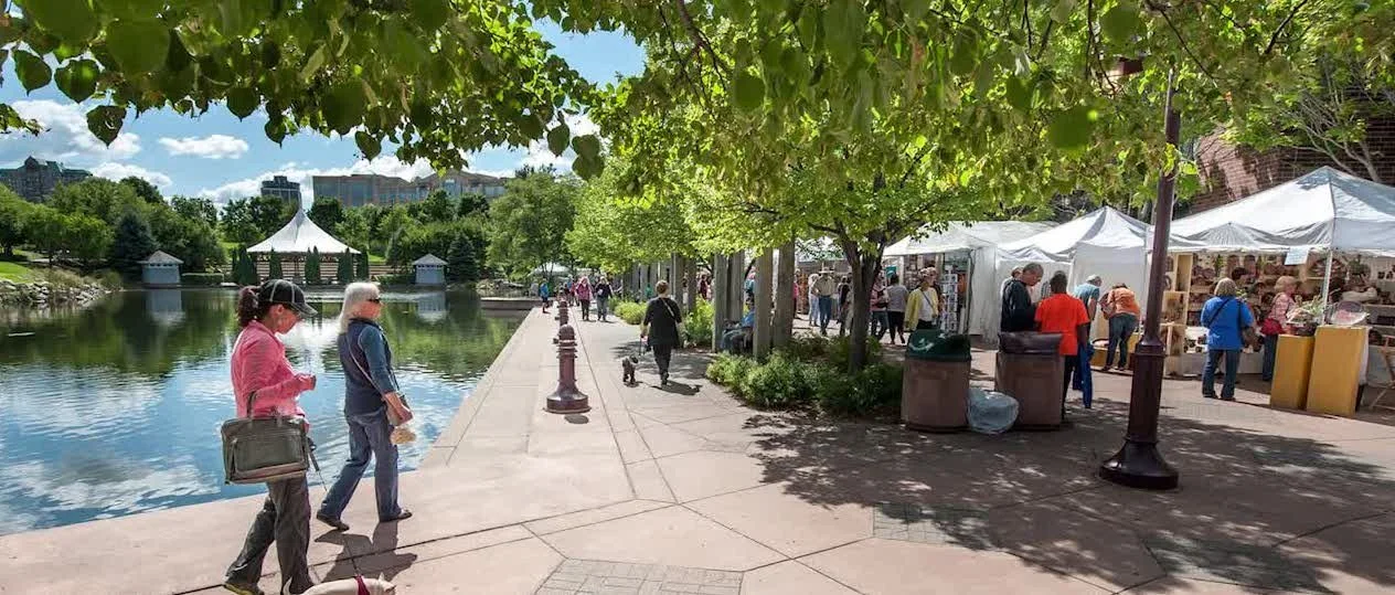 Edina Fall Into the Arts