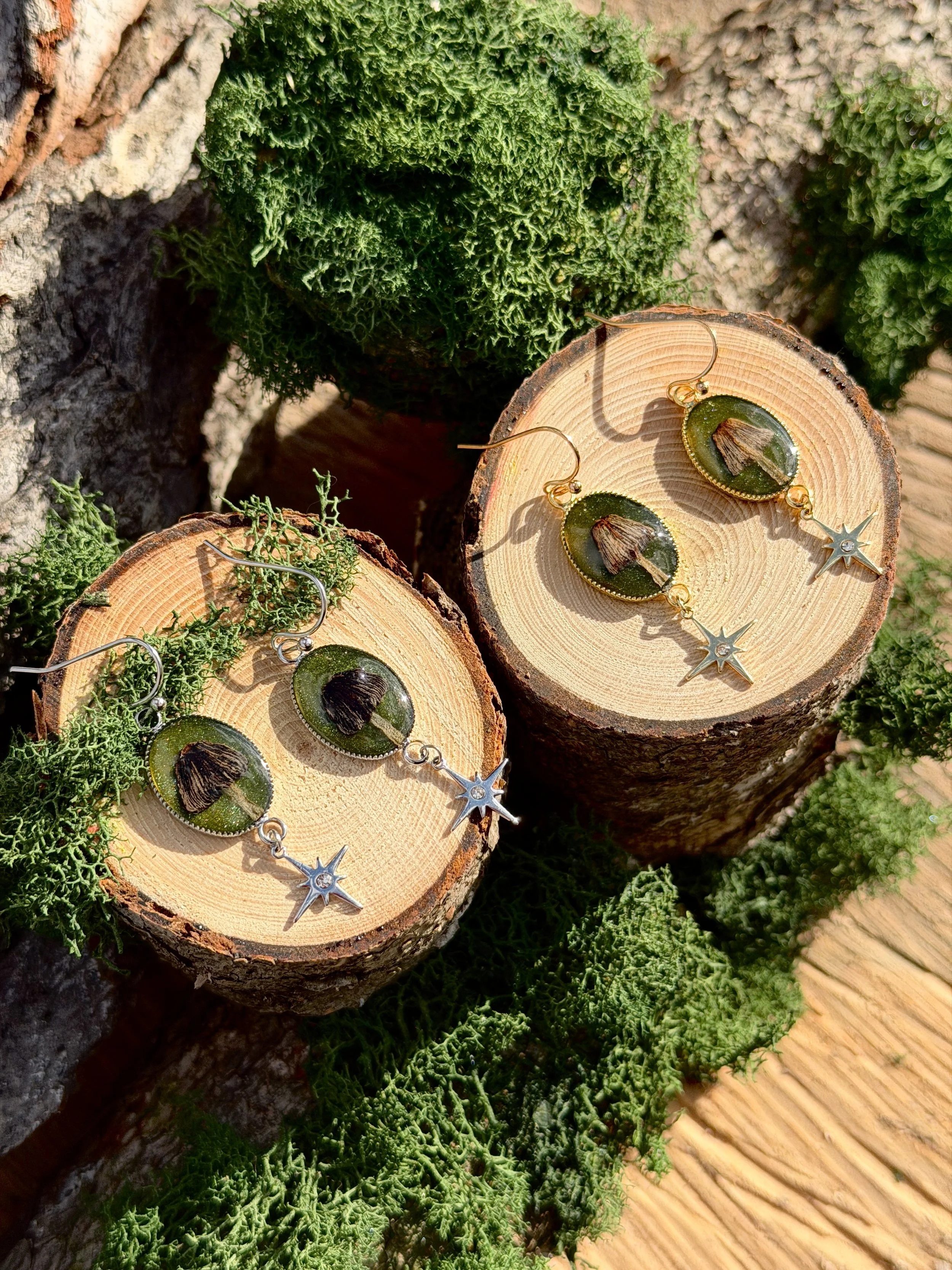 Mushroom Stars