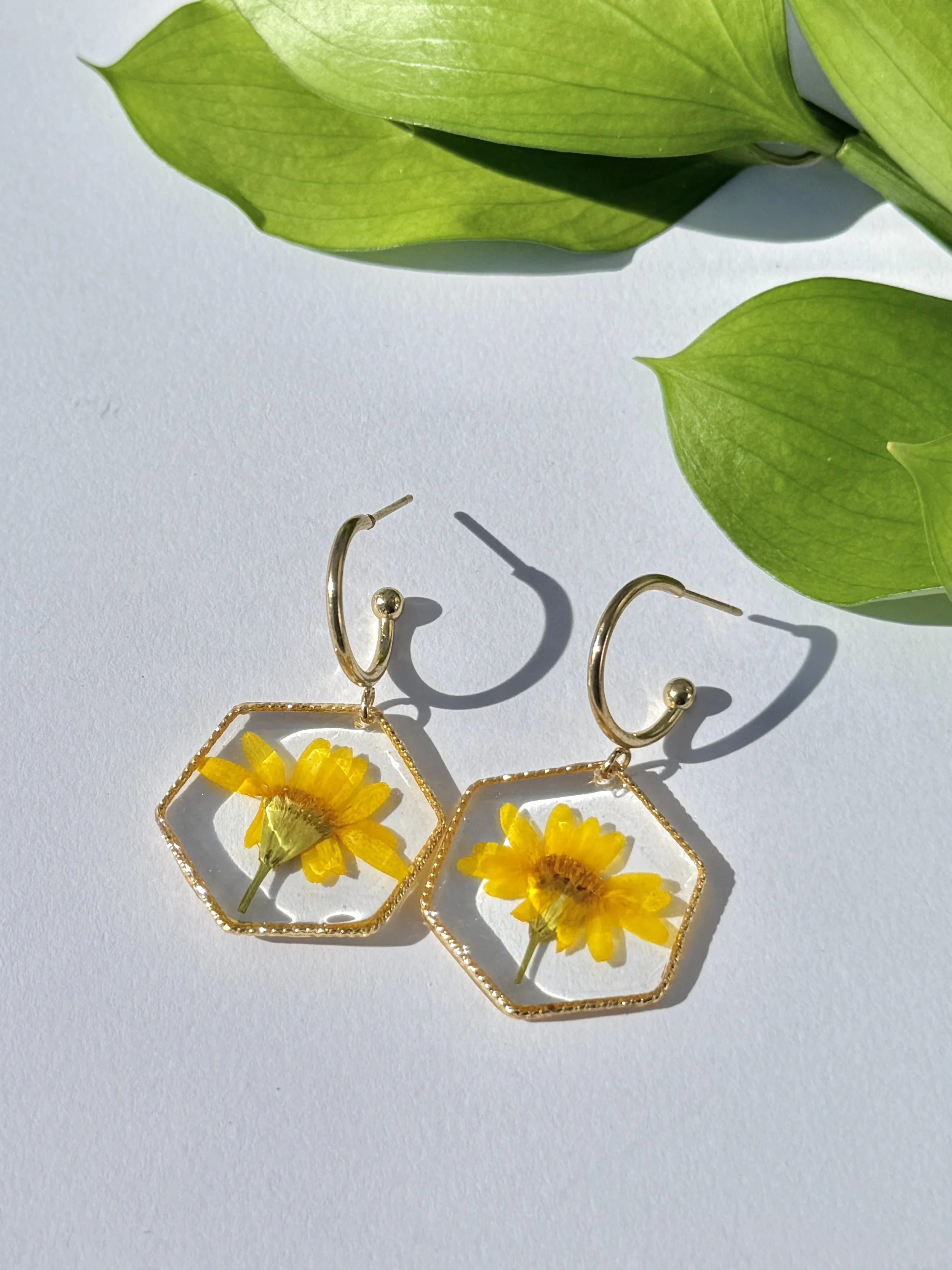 Dahlberg Daisy Hexagons