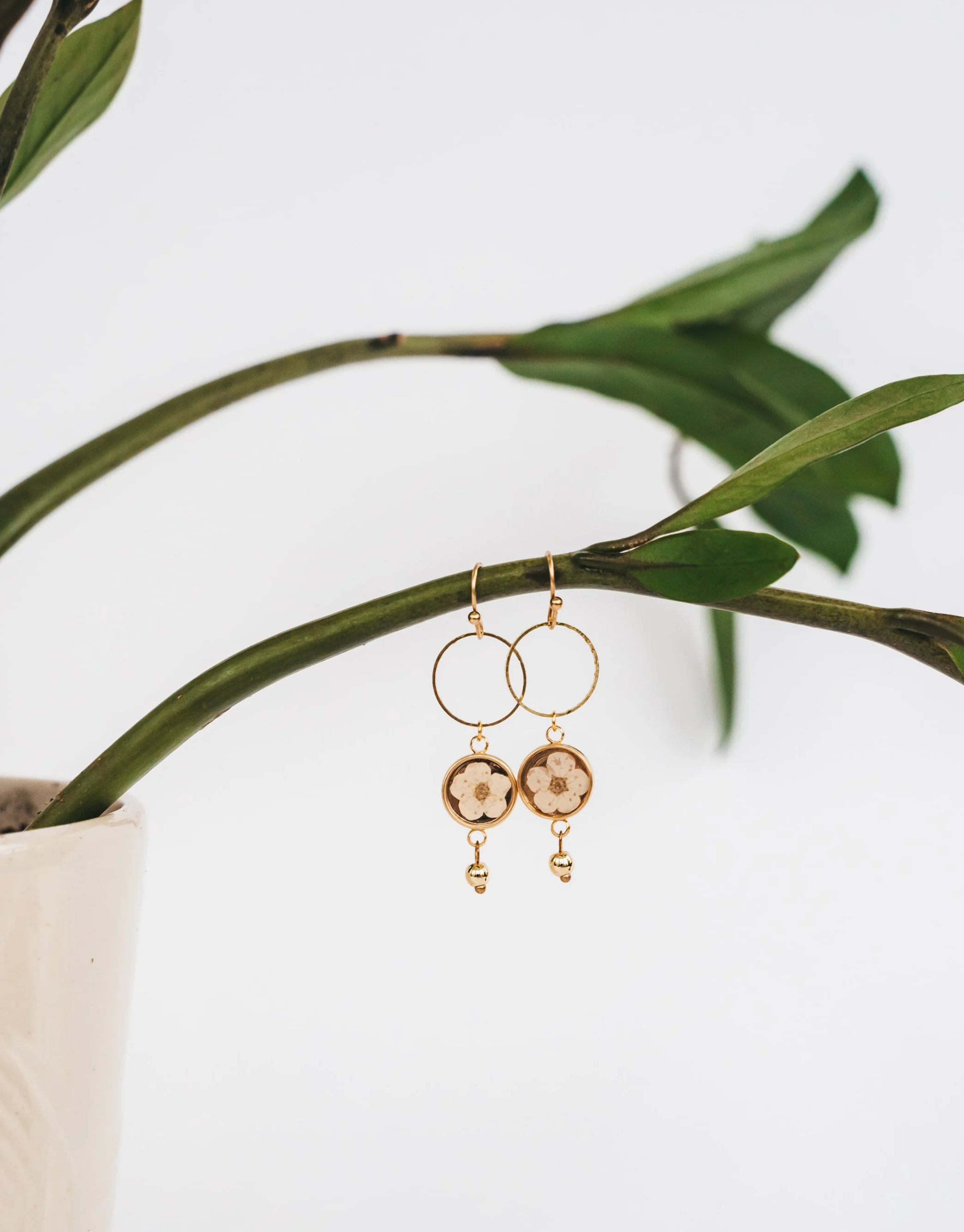 White flower circles