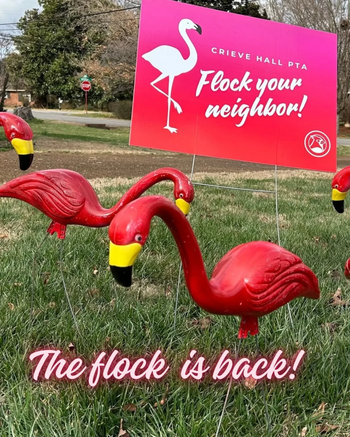 🦩🦩🦩The CHES flamingoes have flown South for the Winter - to Crieve Hall! Yard flocking is a way to pass joy from yard to yard during the coldest part of winter, and it also serves as a small fundraiser for the PTA. We will kick off the flocking pr