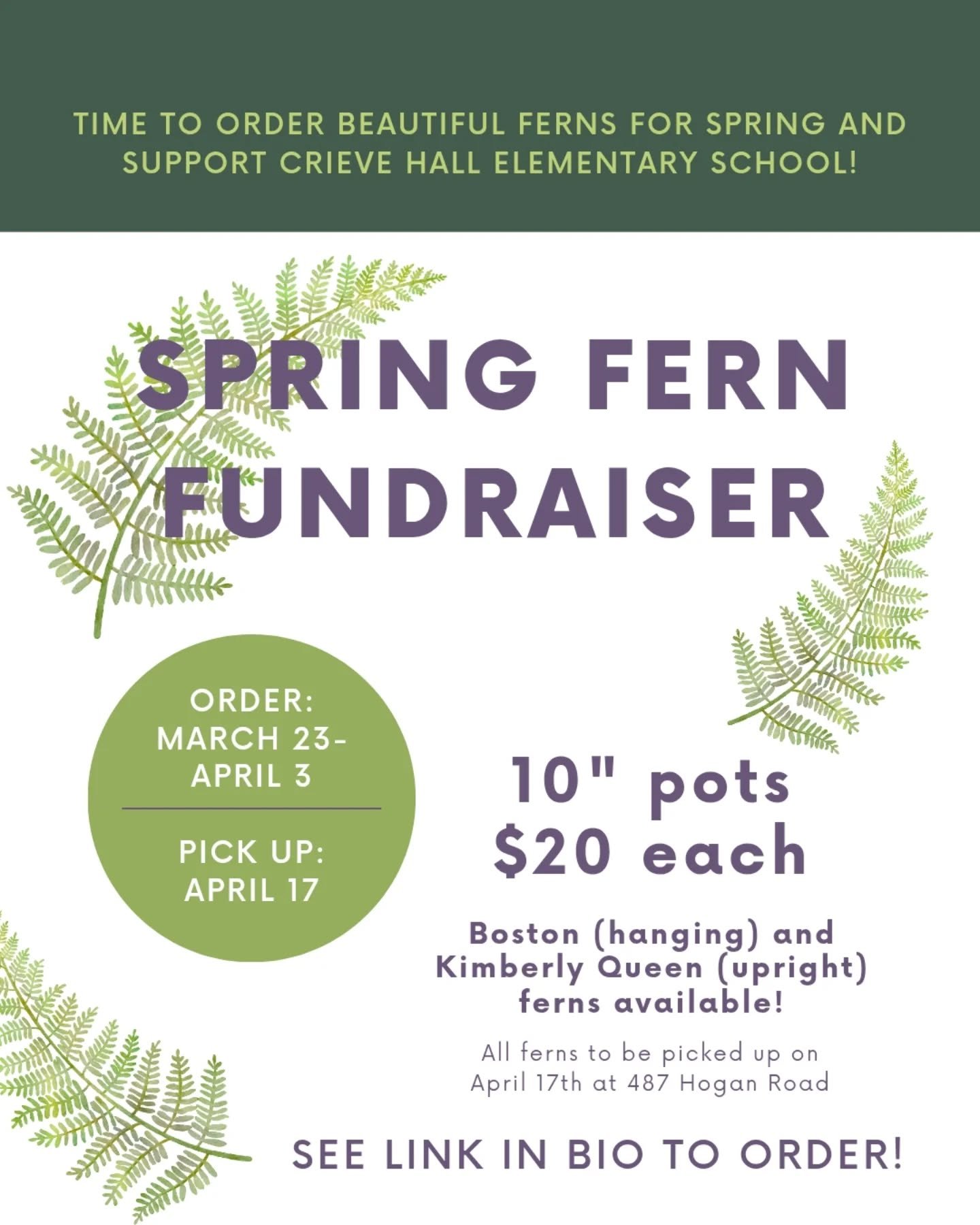 🌿 Our spring Fern fundraiser starts now with a portion of sales from each order benefitting Crieve Hall PTA! Place your orders for beautiful 10" potted Boston (hanging) or Kimberly Queen (upright) ferns through Friday, April 3rd and pick up on 