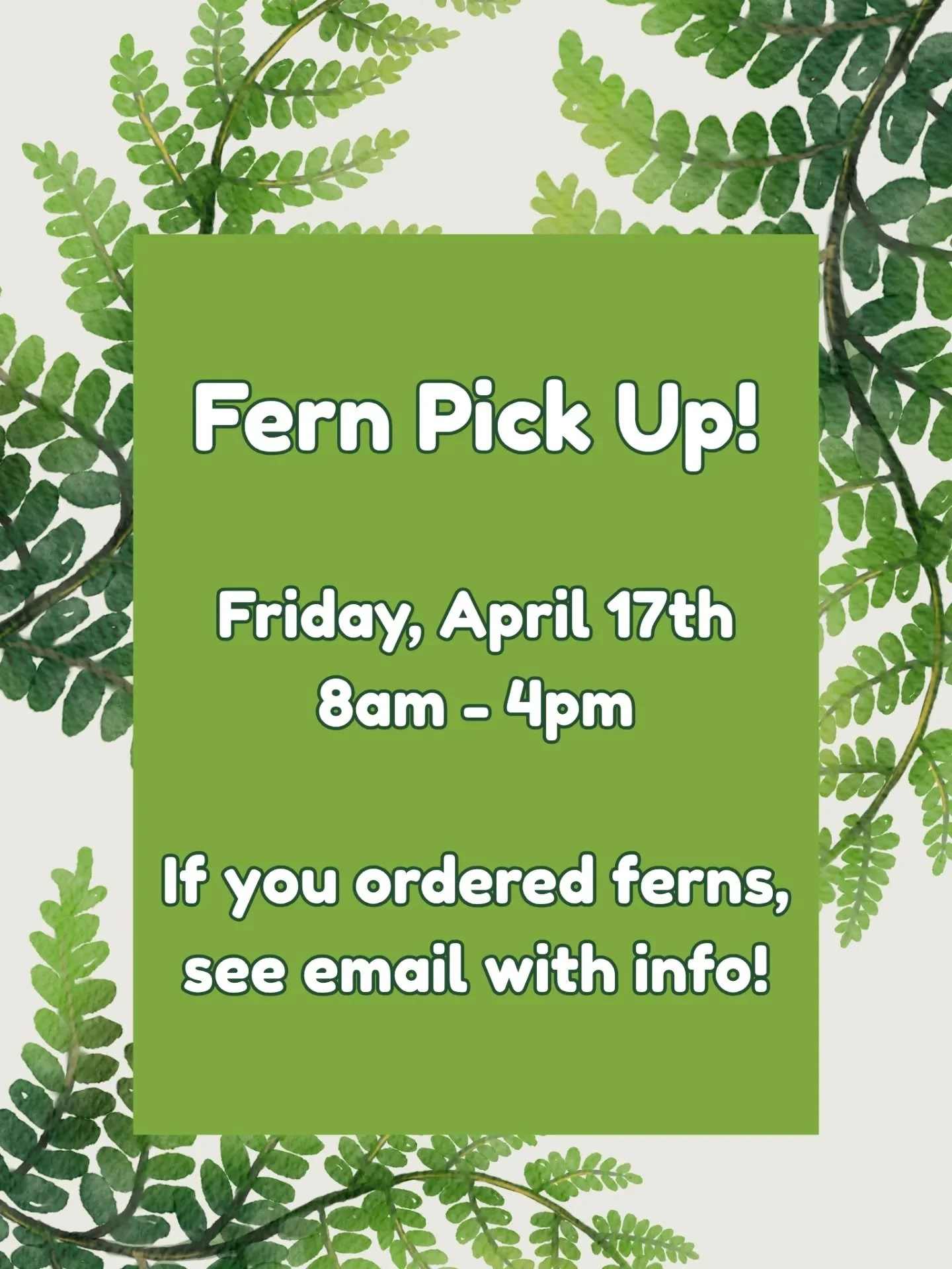 Don&rsquo;t forget! 🌿 Fern pick-up is this Friday from 8AM&ndash;4PM at a home across the street from the school.

If you placed an order, be sure to swing by and grab your ferns&mdash;your porch will thank you!

📧 Check your email for all the deta