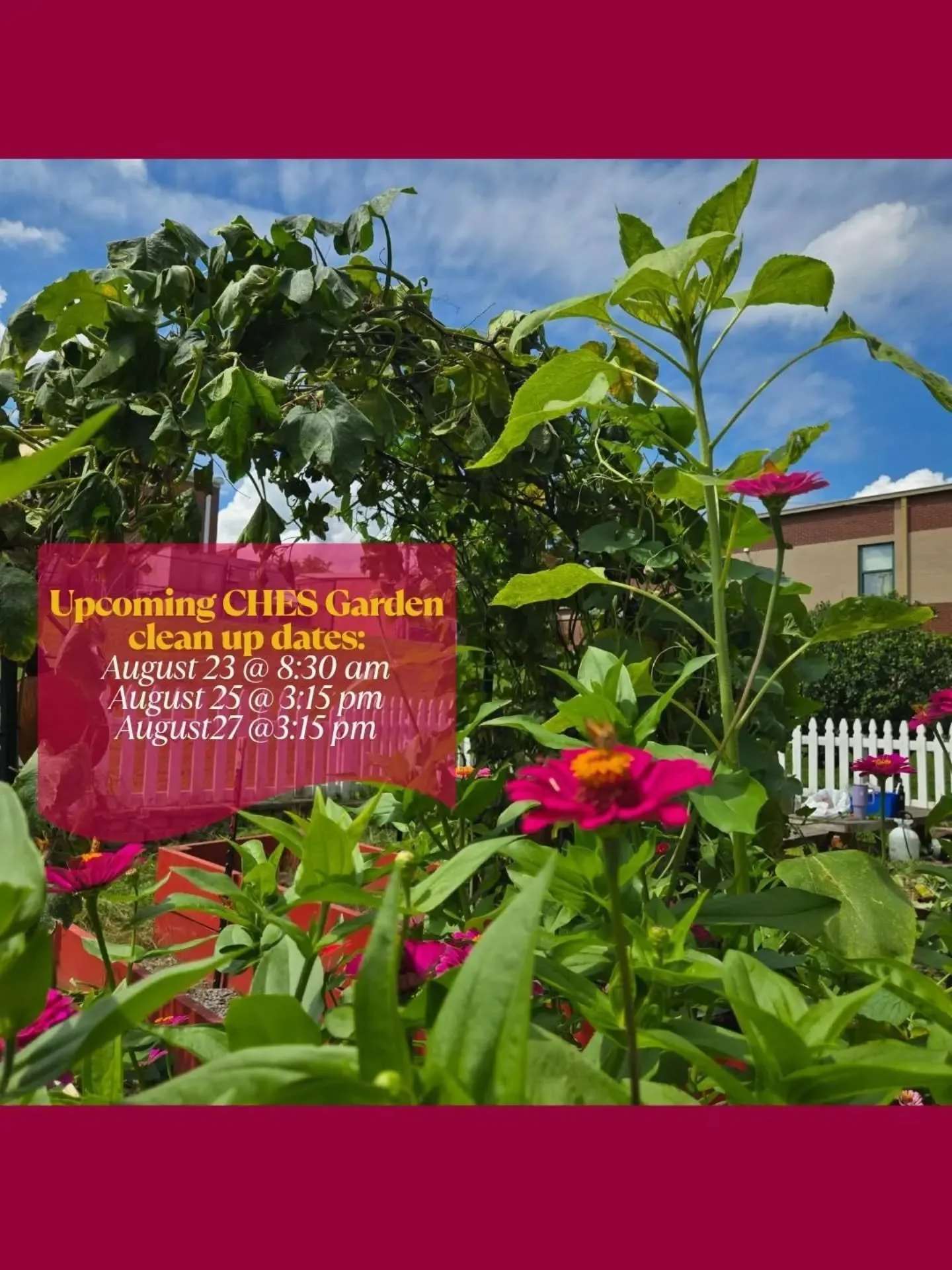 🌻 Help us keep the CHES Garden growing and beautiful! 🌻

We&rsquo;d love a few extra hands at our upcoming garden clean-up days:

🧤 August 23 at 8:30 AM
🌱 August 25 at 3:15 PM
🌸 August 27 at 3:15 PM

Bring your gloves, bring the kids, and join u