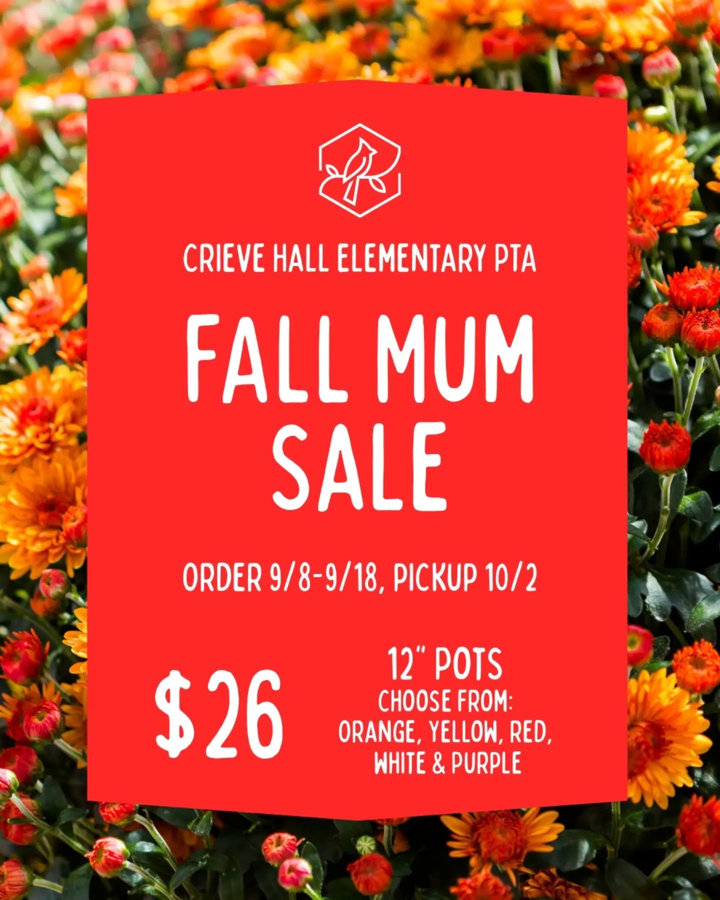 🌼 The Fall Mum Sale has arrived! 🌼 

Grab a gorgeous 12&rdquo; mum (literally massive!) for $26 and add some serious fall color to your porch, yard, or doorstep&mdash;while supporting Crieve Hall Elementary! ❤️

🌼 Choose from orange, yellow, red, 