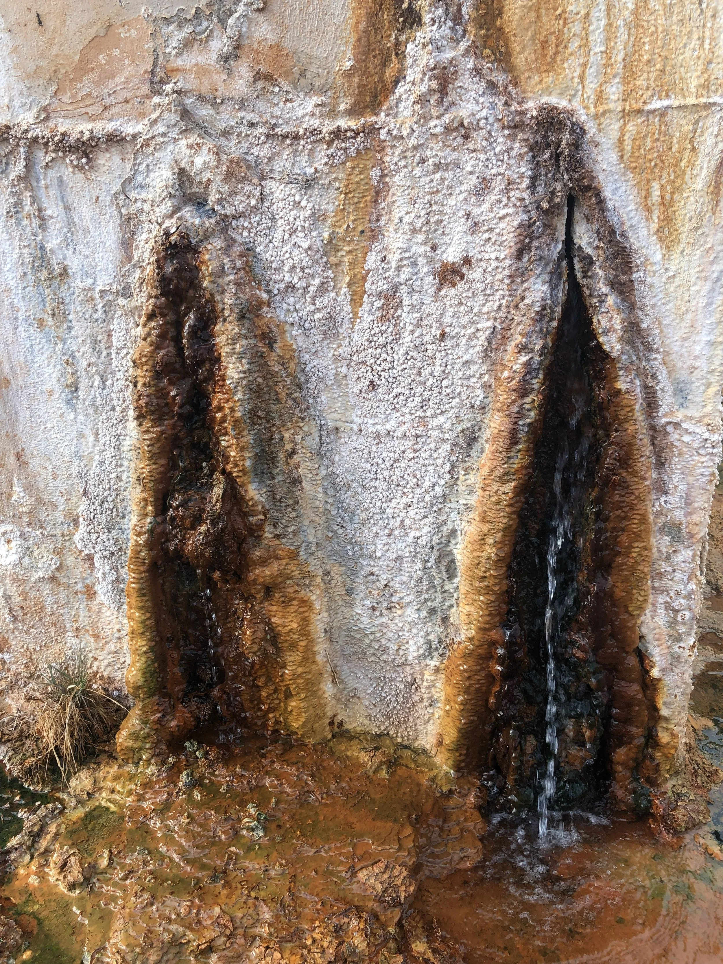 Conscious Cycling with Andy Vantrease // Week 1