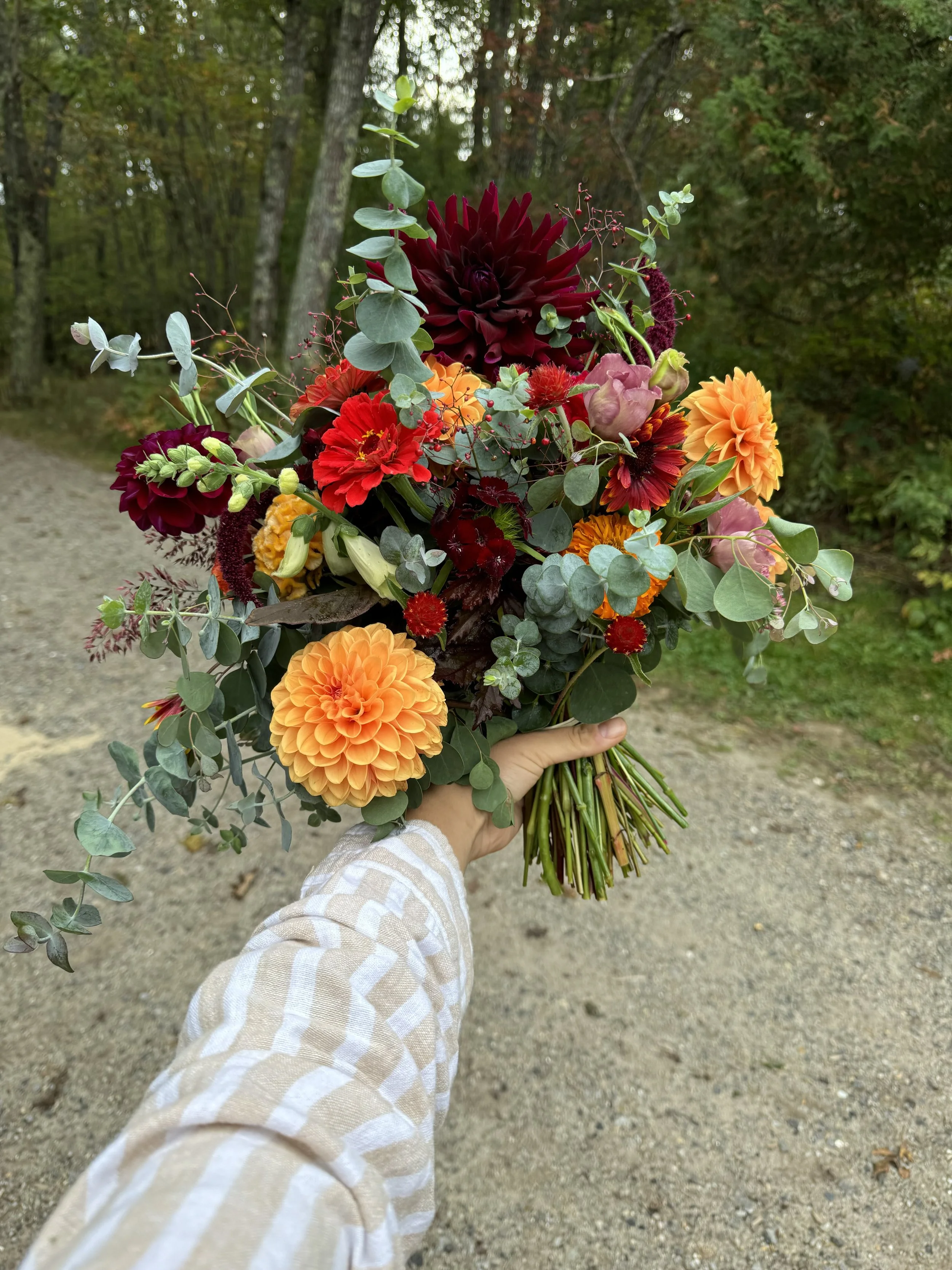 Photo Oct 03 2024, 9 06 02 AM.jpg