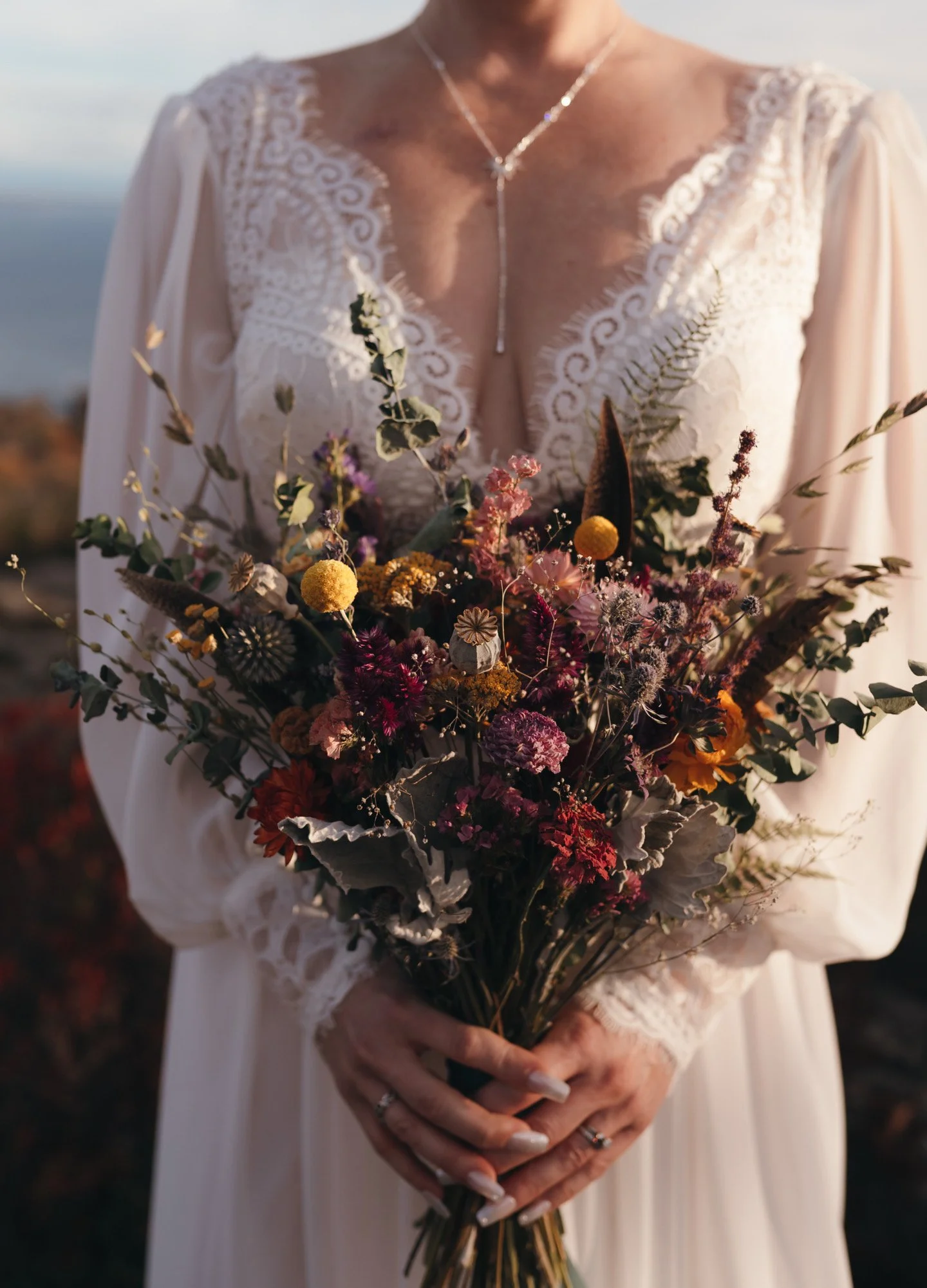 Photo Nov 19 2025, 12 05 40 PM.jpg