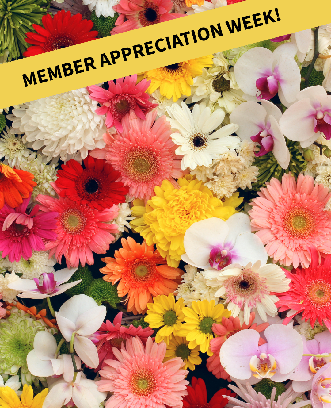 Member Appreciation Week